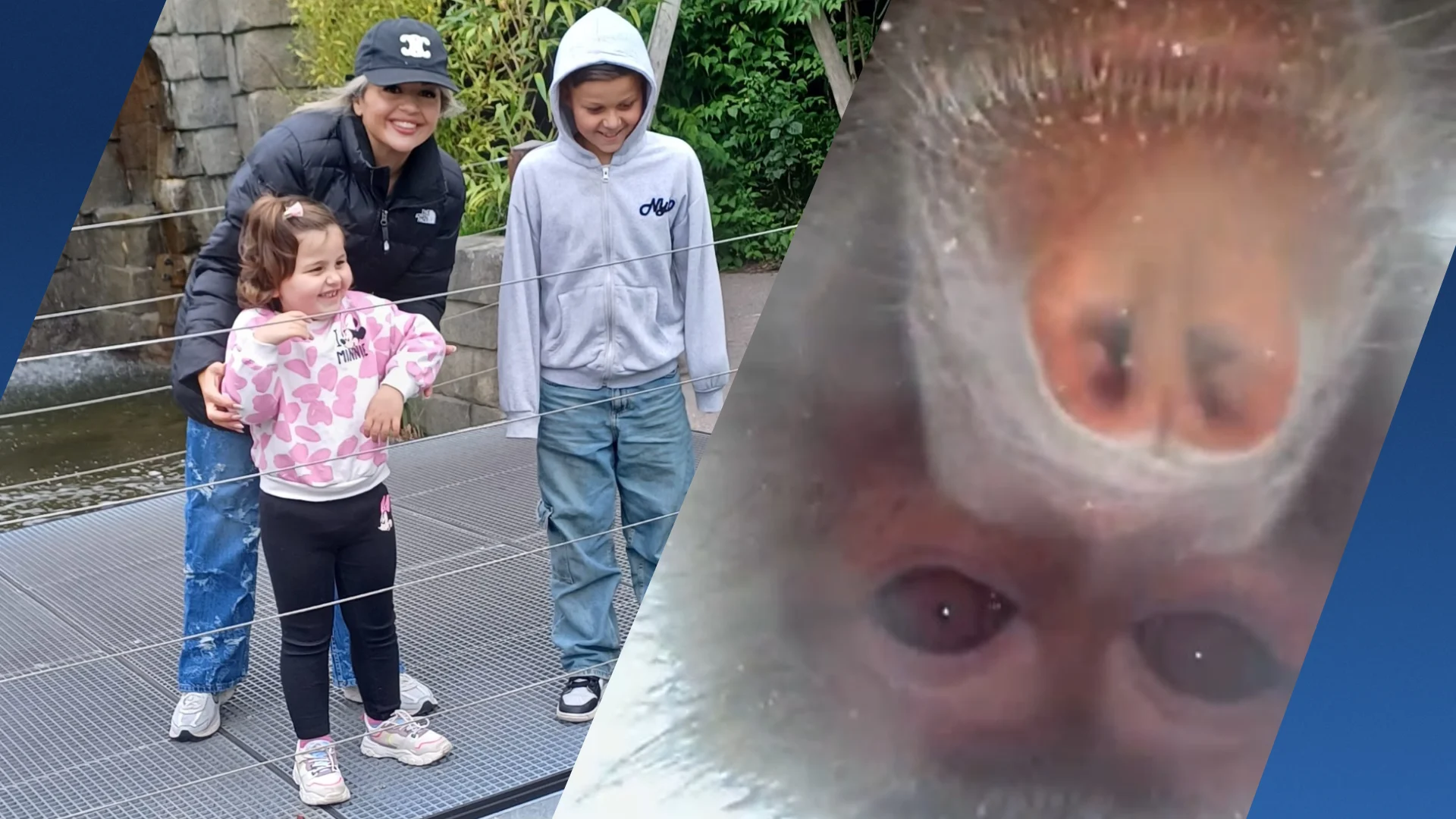 Bavianen gaan aan de haal met telefoon Shahra (32) en maken filmpjes: 'Mega lachen'