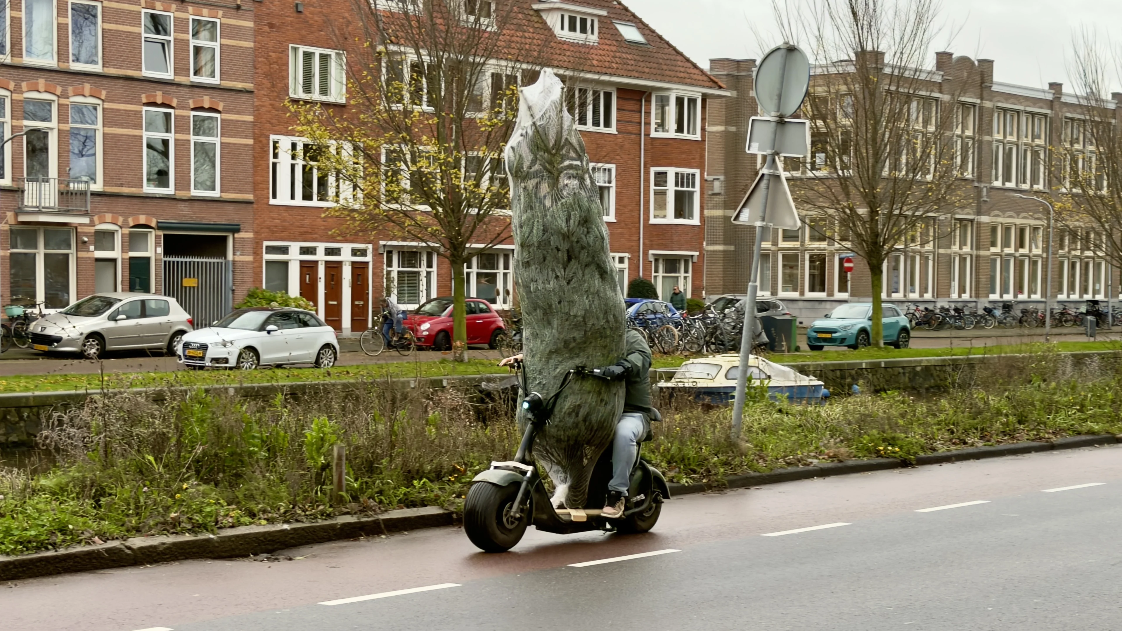 Zachte weer laat december op lente lijken, wel kans op winterse kerst