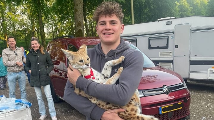 Ontsnapte serval Lexmond na zoektocht met drone weer terecht