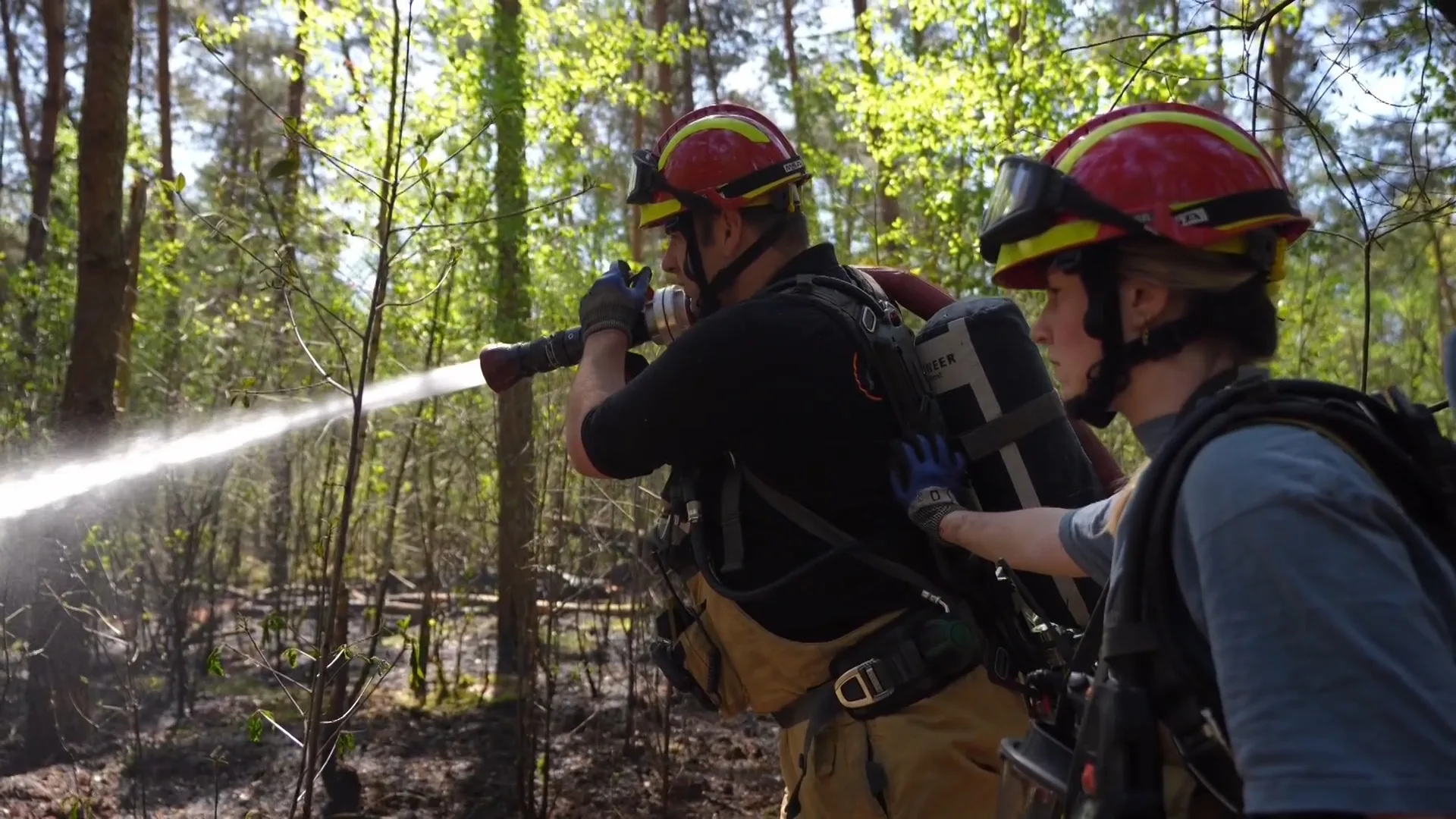 Bosbrand uitgebroken op Dennendijk in Oost-, West- en Middelbeers