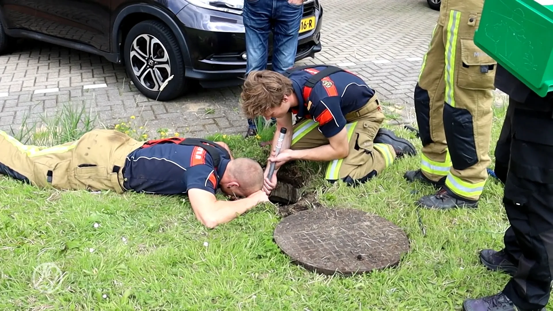 Brandweer haalt meerhoentjes_uit put in Velserbroek