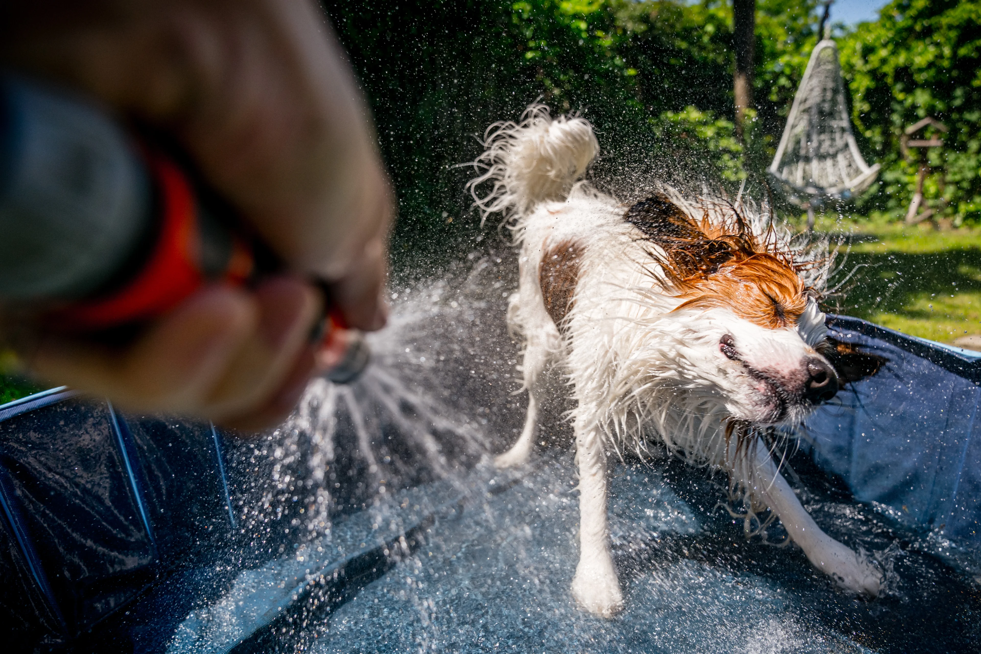 Voor het eerst in jaren meer dan 35 graden gemeten in Nederland