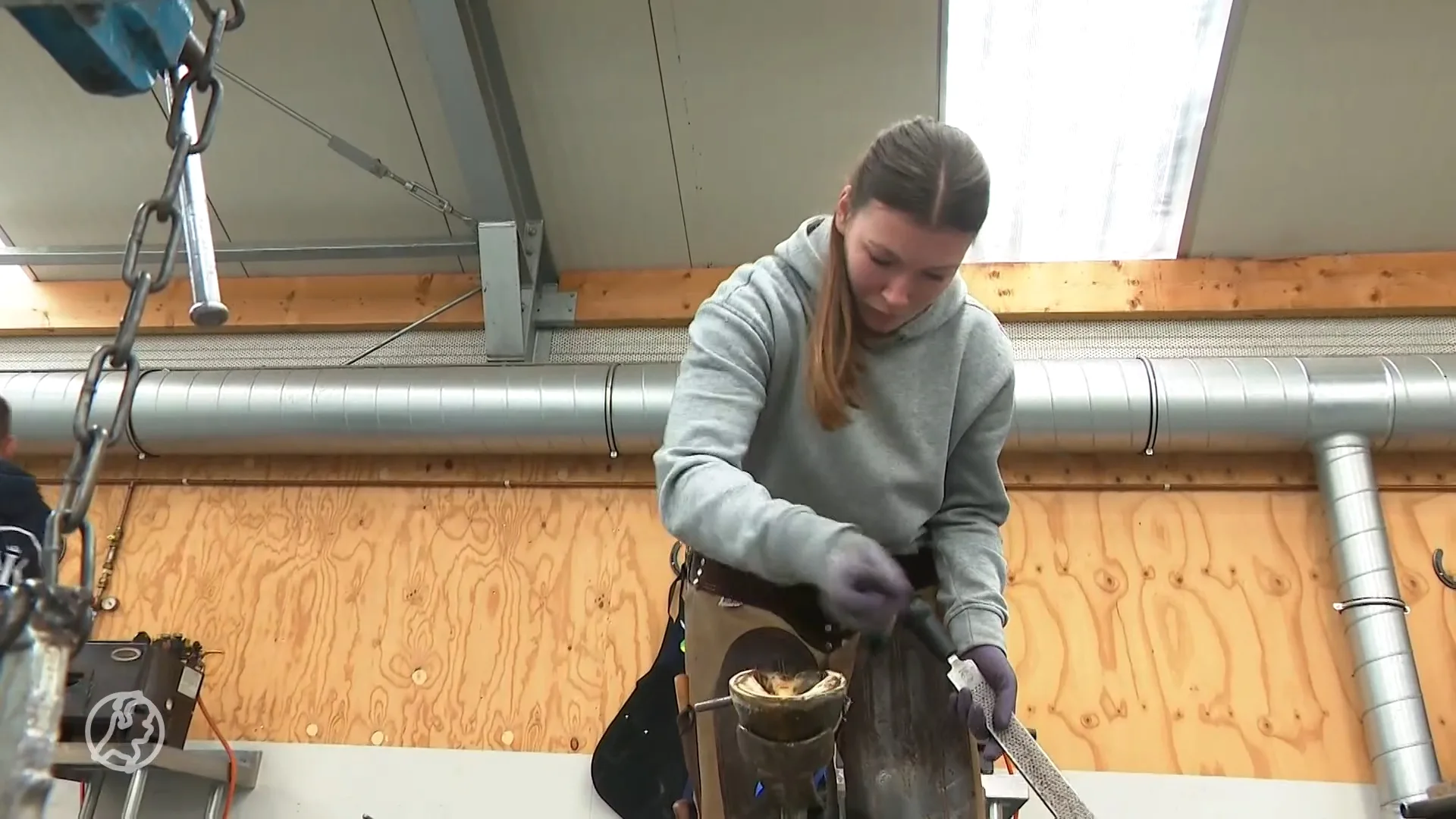 Hoefsmeden gezocht: beroep vergrijst en dat is gevaarlijk voor gezondheid van paarden