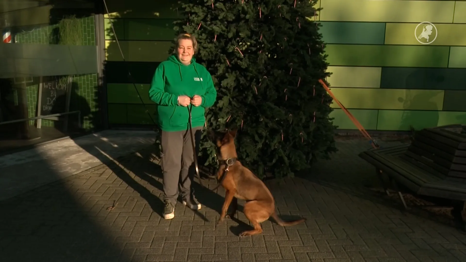 Asieldieren in Amsterdam krijgen kerstpakketten en baasjes door kerstactie