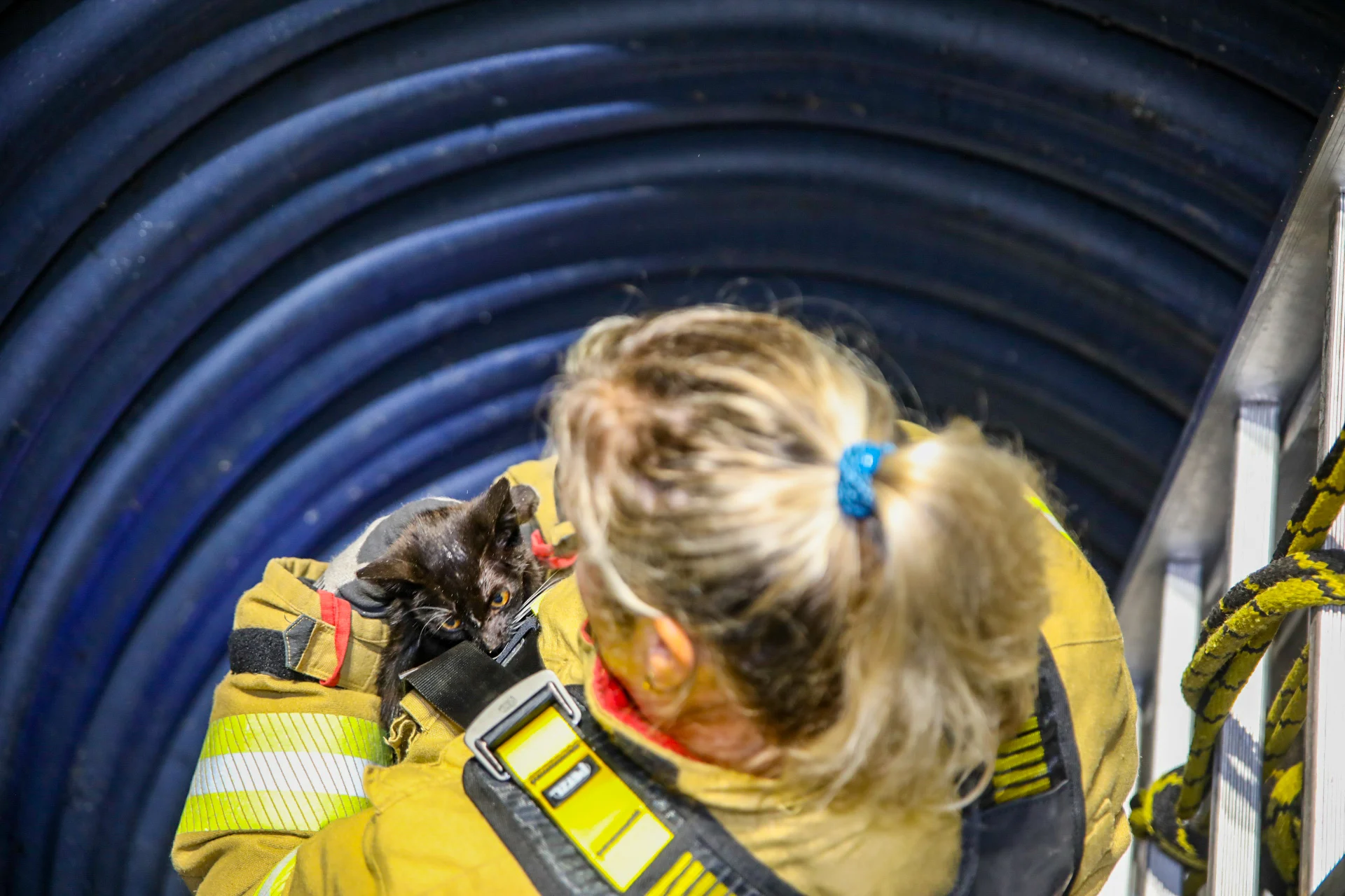 Gedumpte kitten gered door brandweer uit ondergrondse container langs snelweg