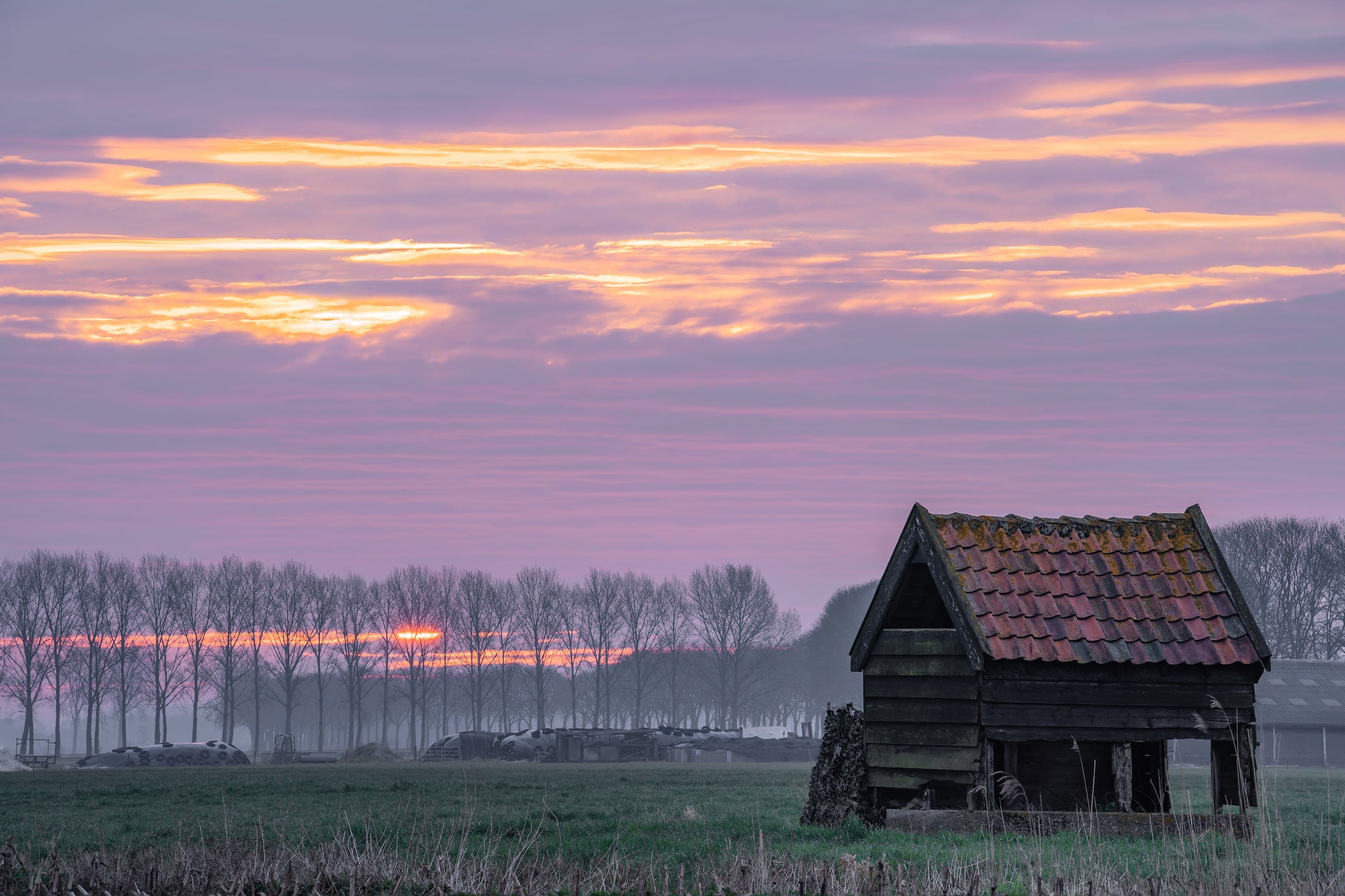 Een guur weekend staat voor de deur, maar de lente komt er écht aan