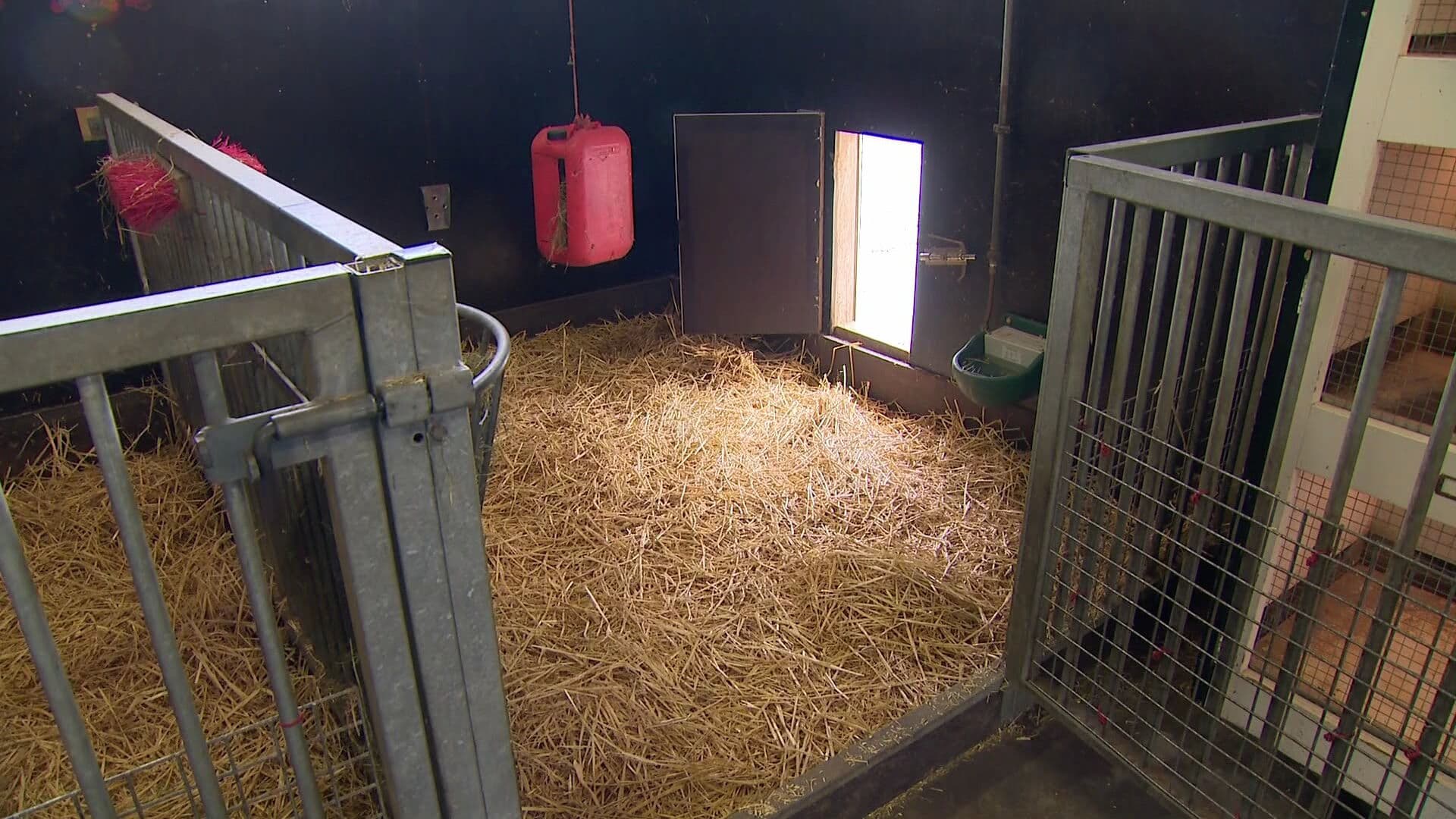 Grote schrok op groen college in Buitenpost na wrede moord op dieren