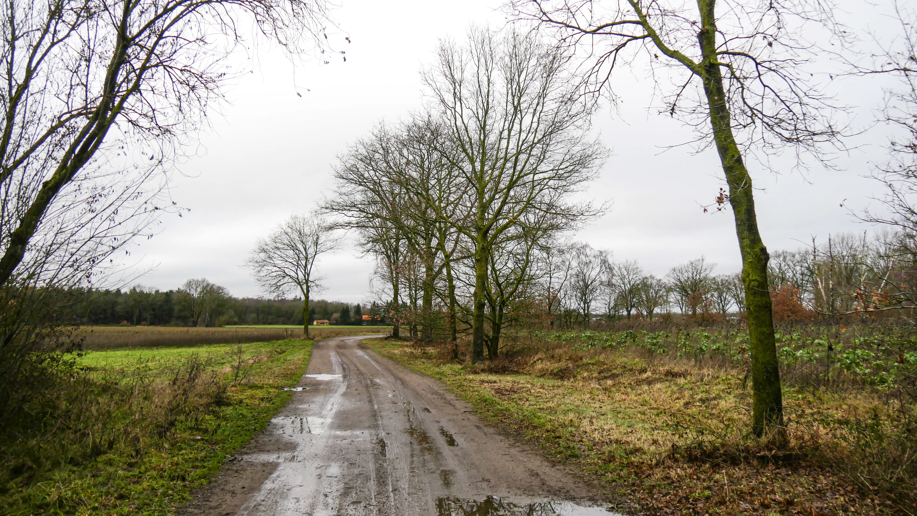Van sneeuw en vorst naar regen: dit wordt het weer de komende dagen