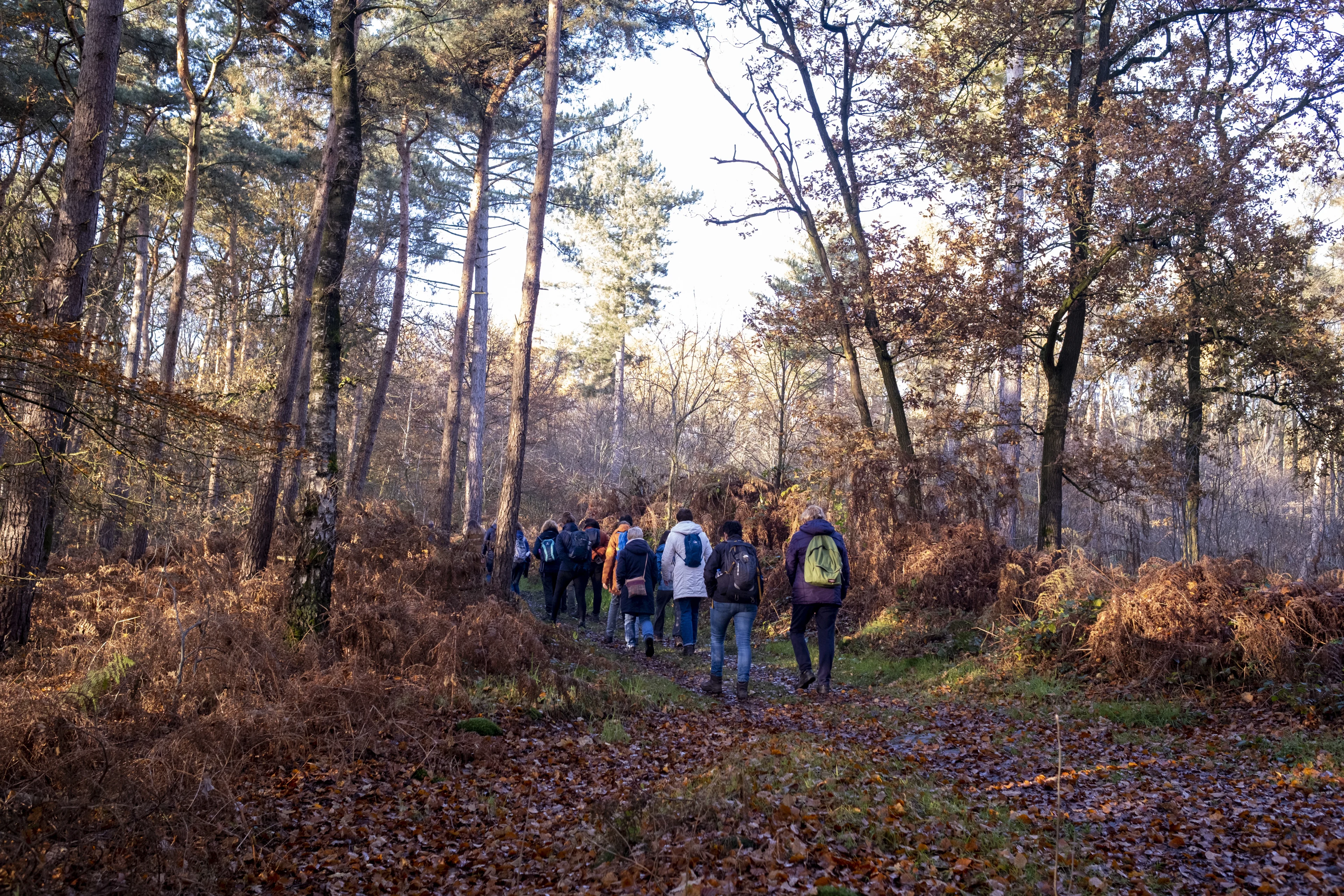 Natuurmonumenten vreest drukte in bossen: 'Natuur kan die massale toeloop niet hebben'