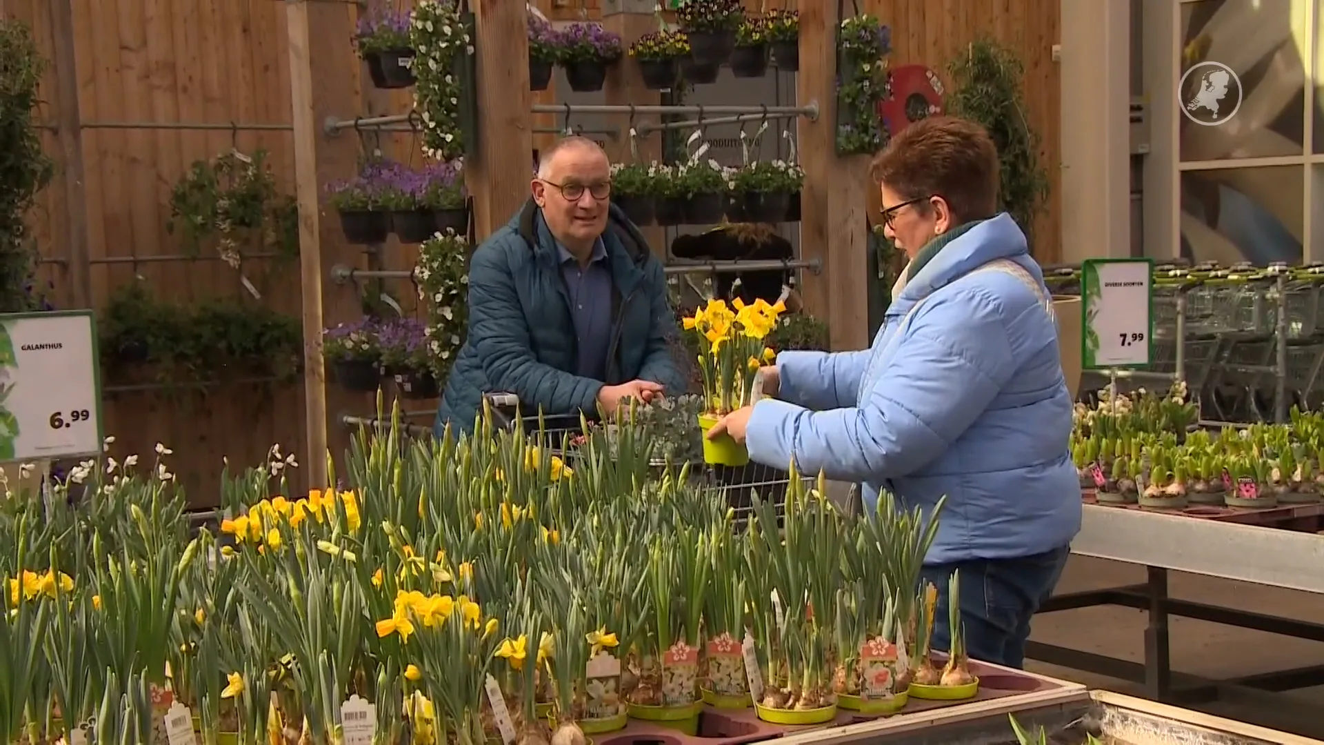 Nederland verdeeld: tuinieren is óf een hobby, óf een last