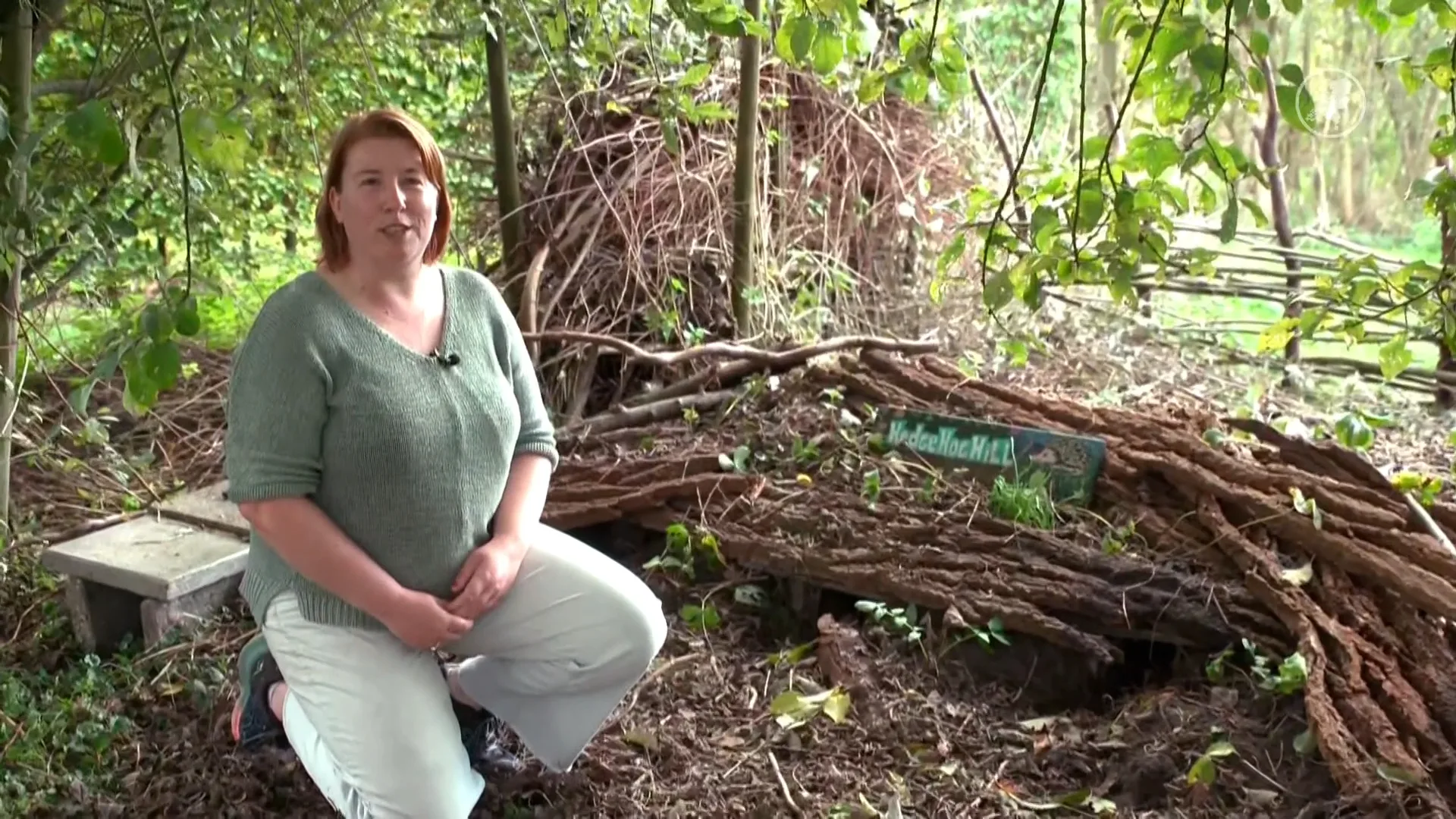 Steeds minder schuilplekken voor egels, is de egelburcht de toekomst?