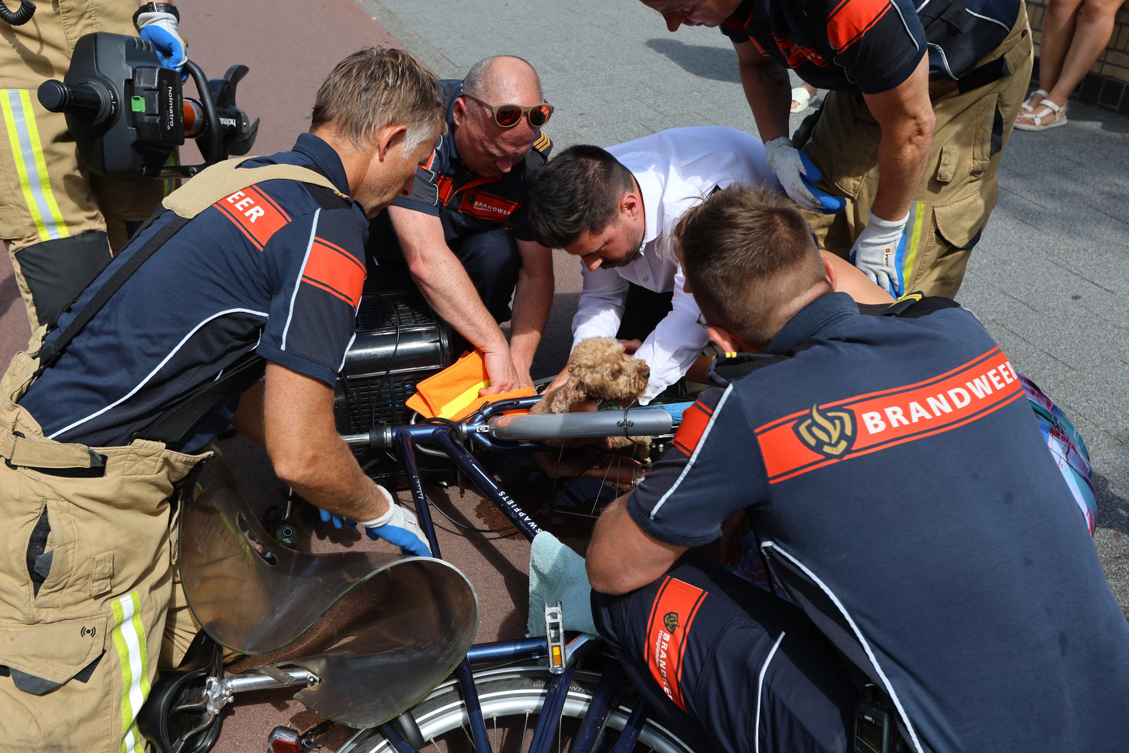 Fietstocht loopt spaak, hond vast in voorvork