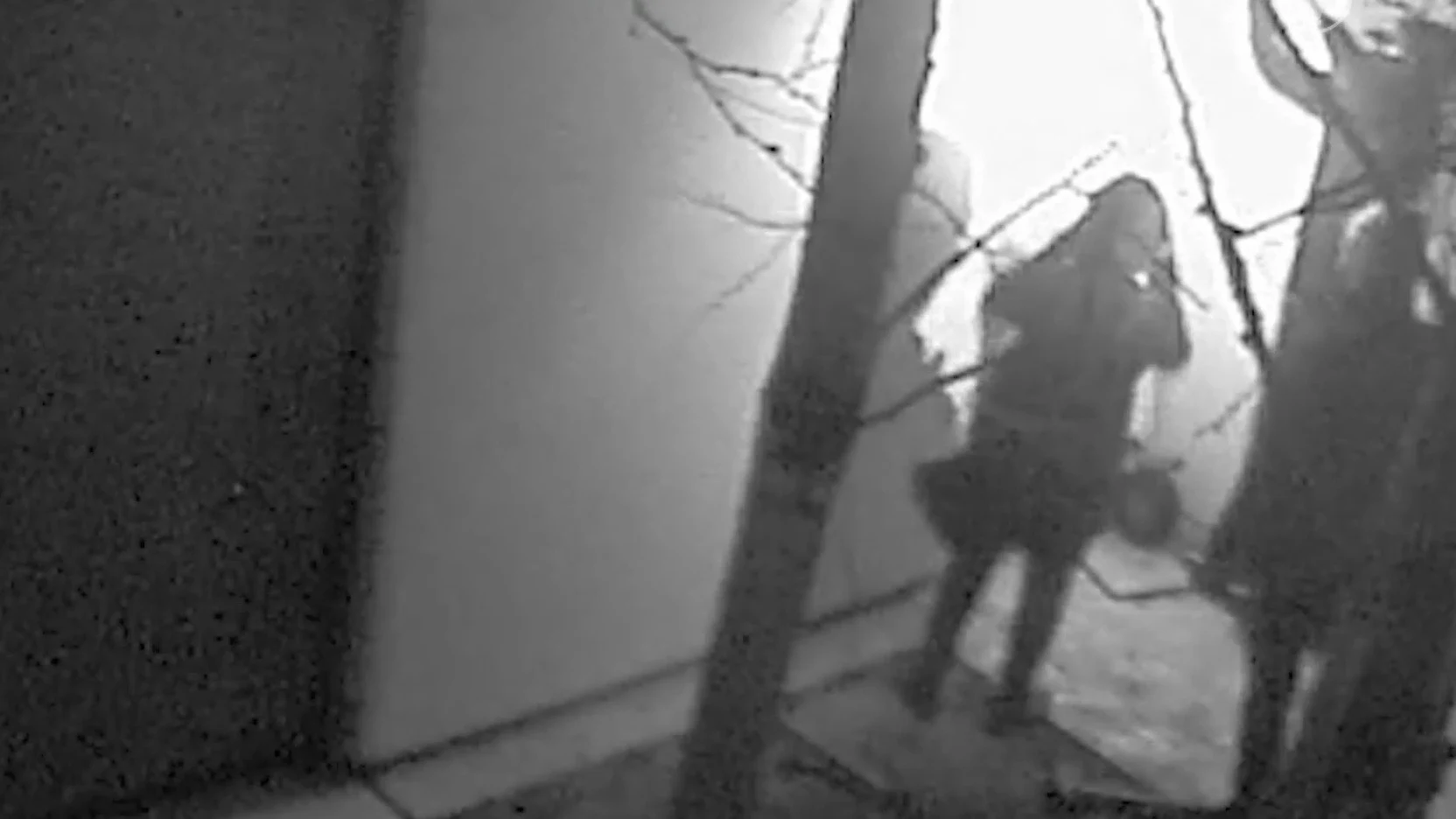 'Politie zit daders kunstroof Drents Museum op de hielen'