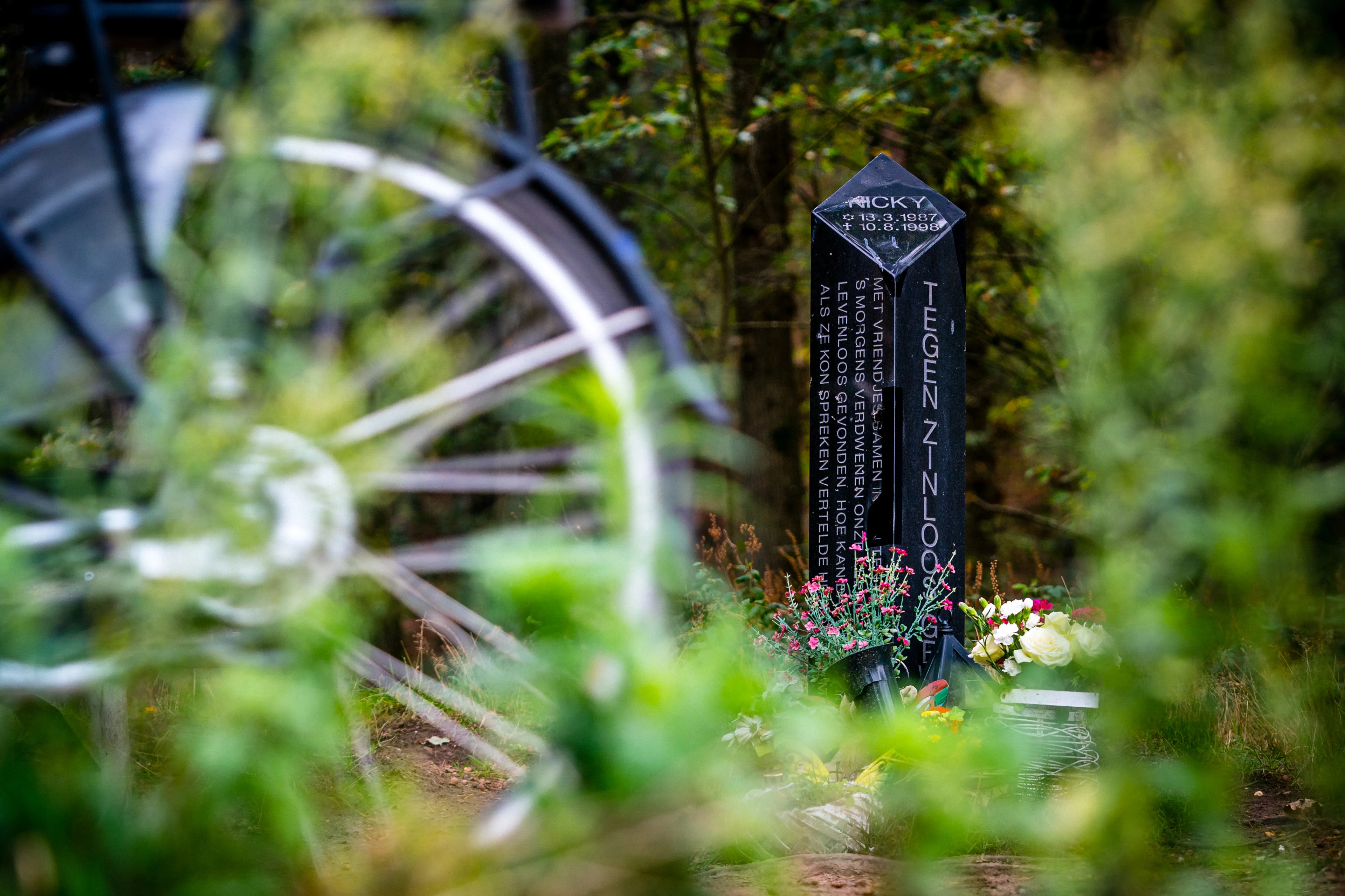 Ook OM in hoger beroep in zaak Nicky Verstappen