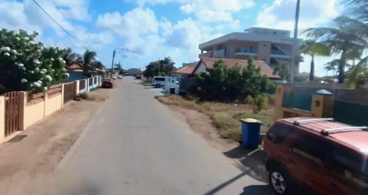 'Nederlander (20) doodt tante en verstopt haar in vriezer op Aruba'