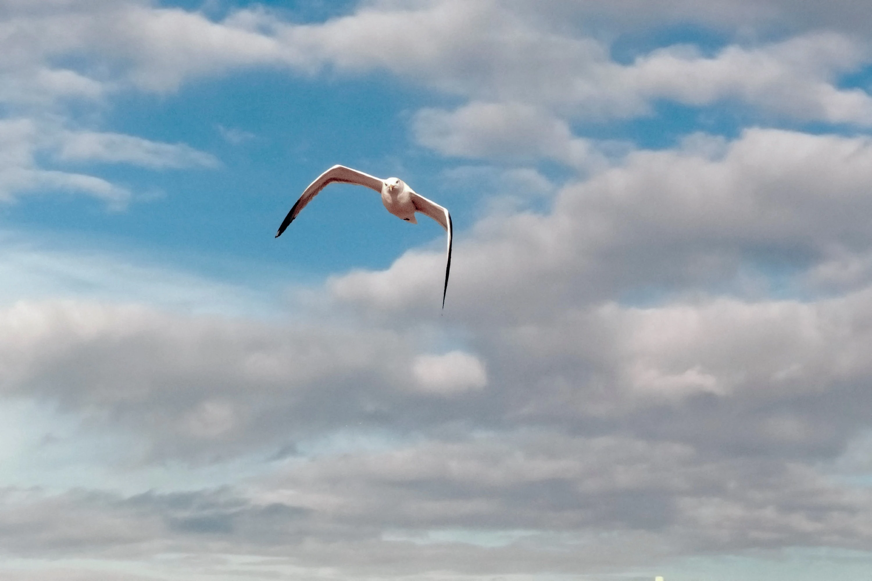 Geniet nog even van het lenteweer, want komend weekend slaat het om