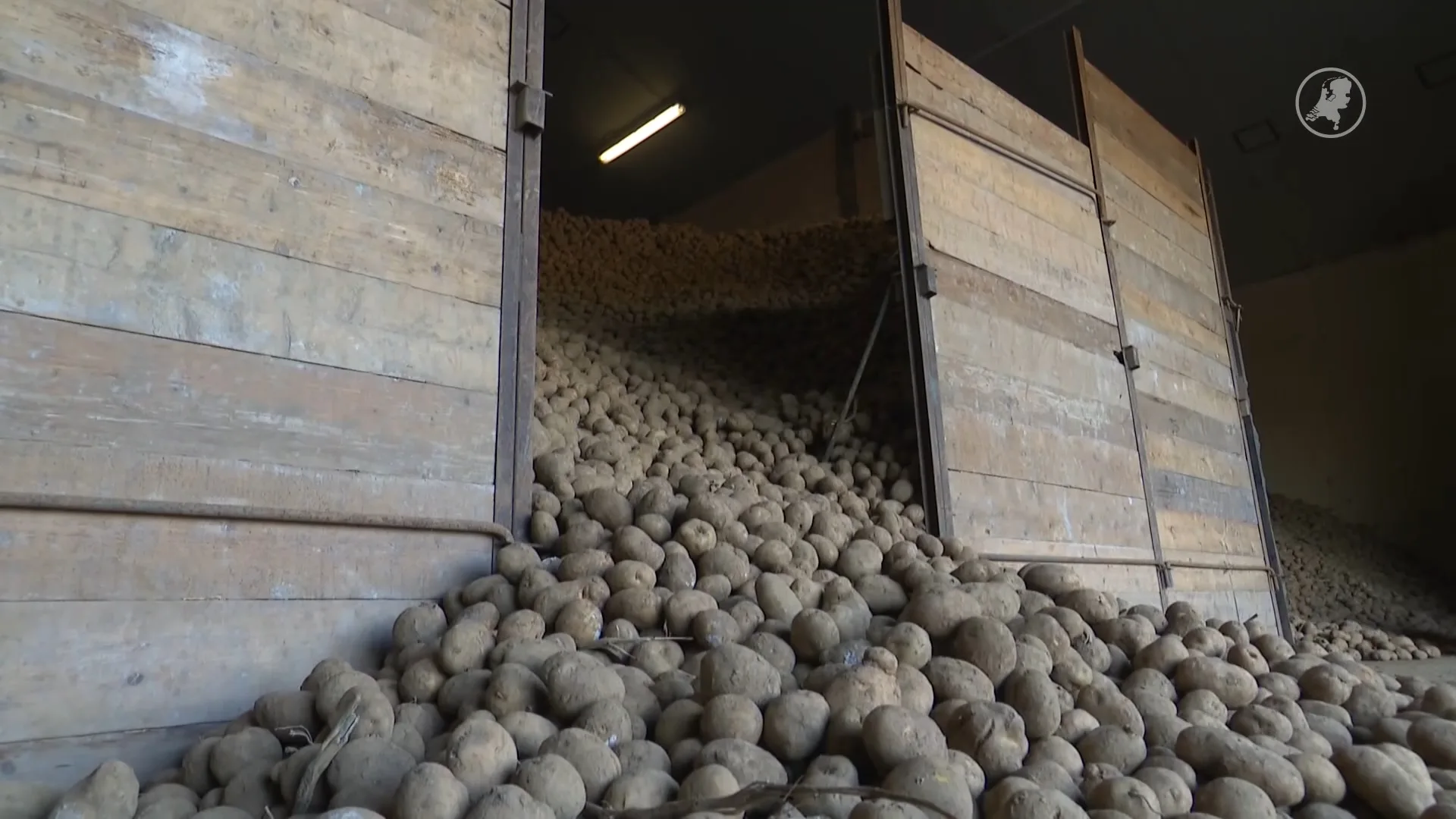Groot aardappeloverschot: boeren en actie tegen verspilling