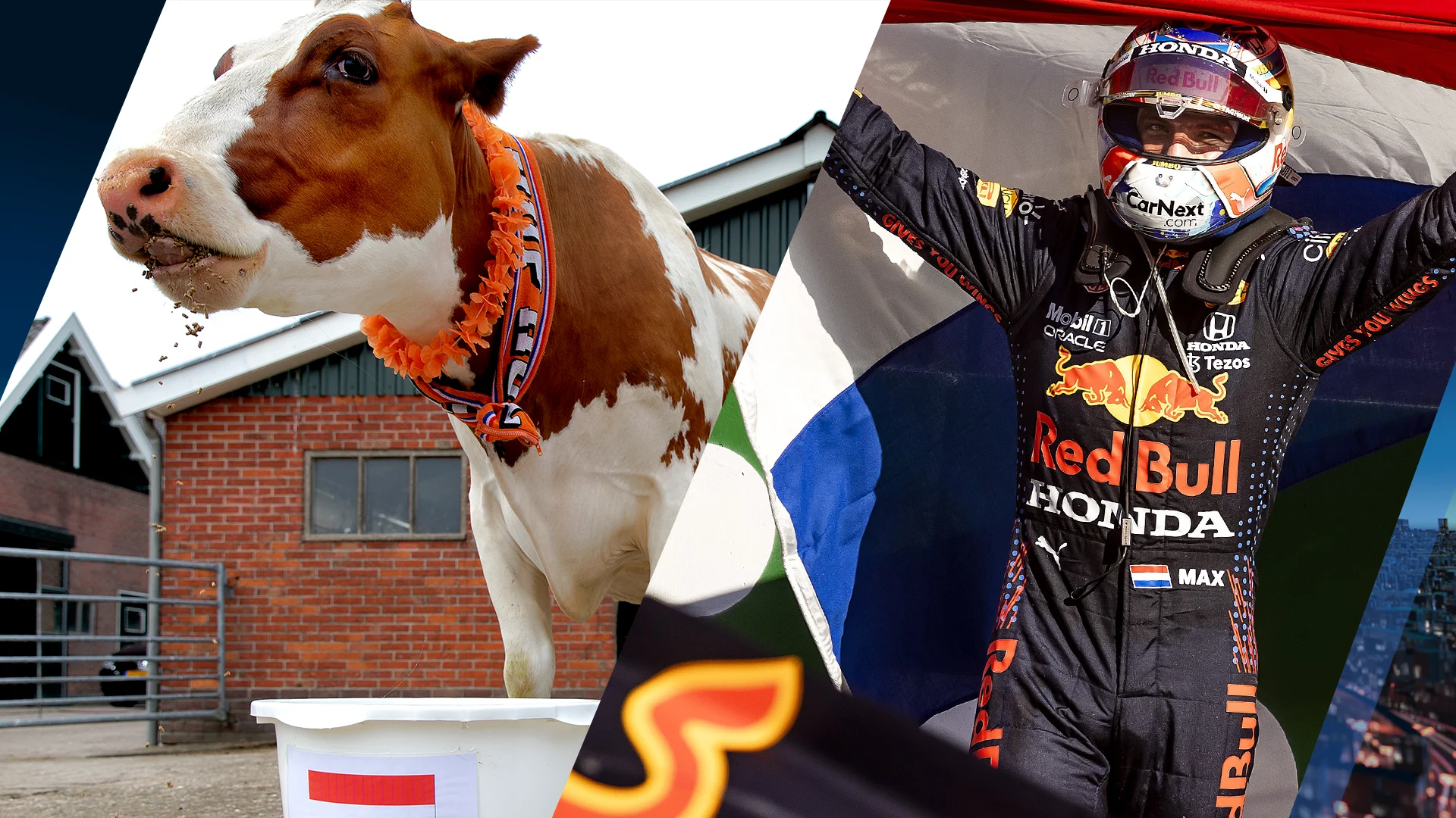 Koe Sijtje voorspelt: neemt Max Verstappen zijn rivaal Hamilton te grazen?