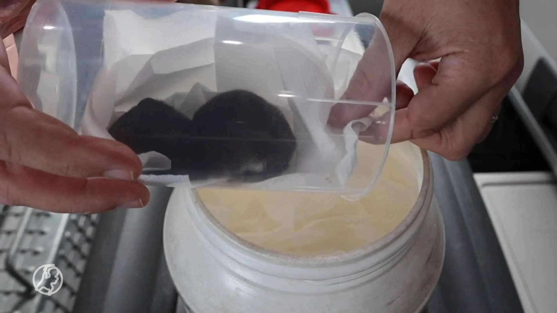 Wezel in veiligheid gebracht na aanval hond in Zoetermeer