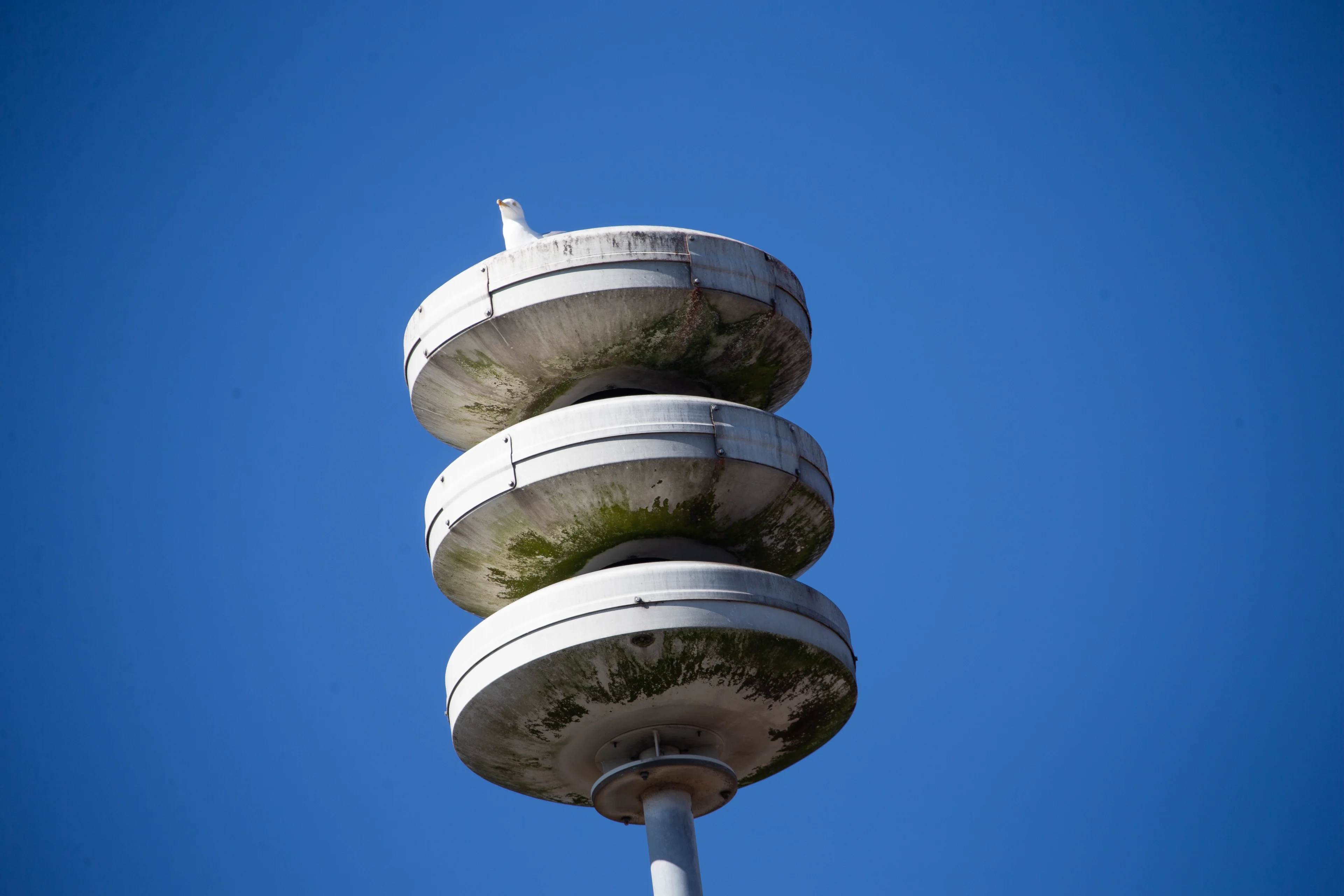 Geen paniek: de sirenes gaan vandaag om 12.00 uur NIET af!