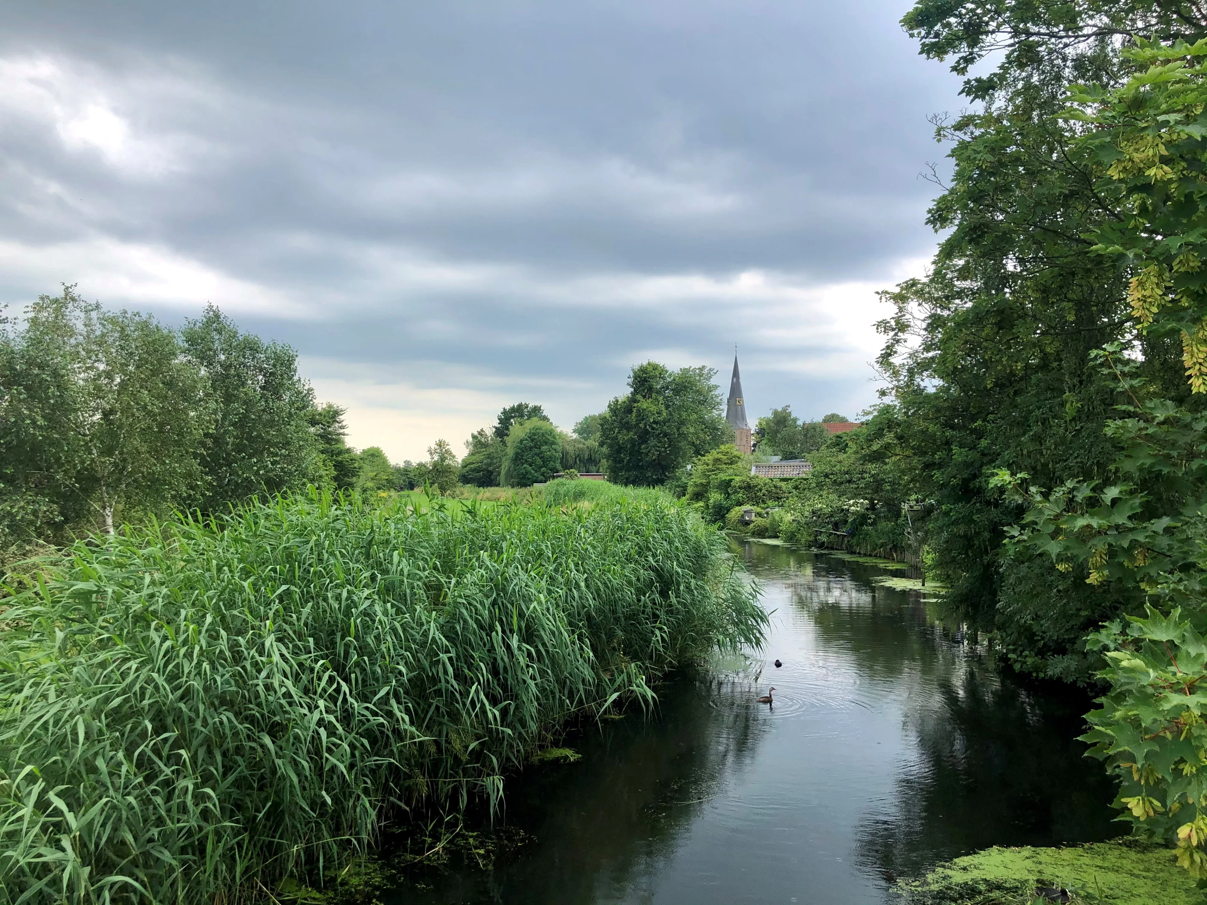 Die zomerse zondag kun je vergeten: wolken, regen en hier en daar onweer