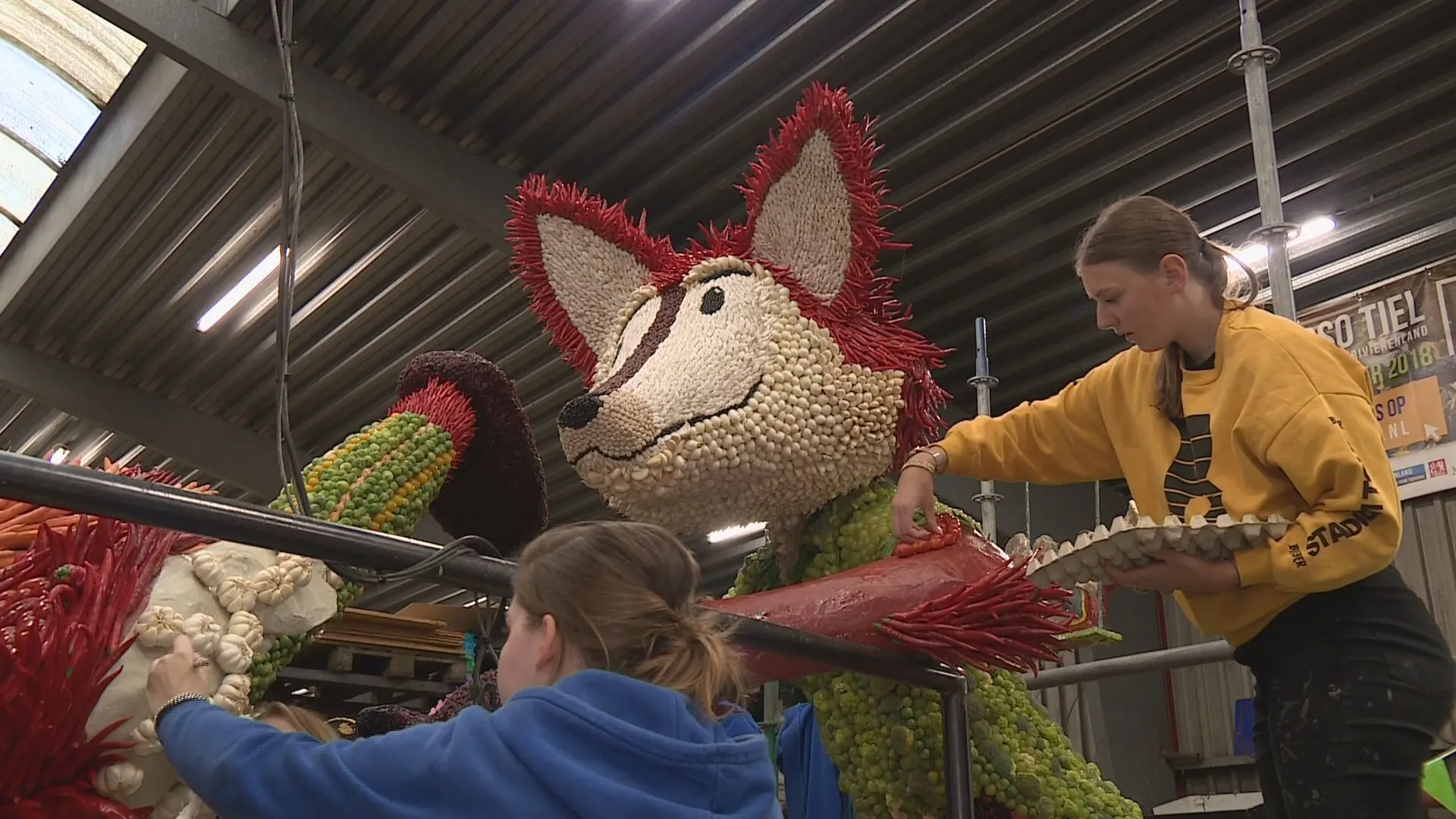 Corso-koorts slaat toe in Tiel: 'We zijn allemaal een beetje gek'