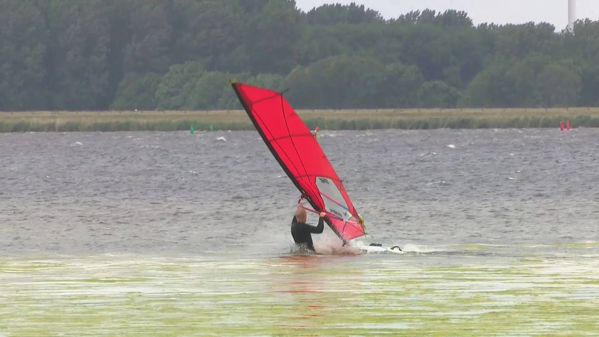 Groen water in Gooimeer: stank, smerig én gevaarlijk