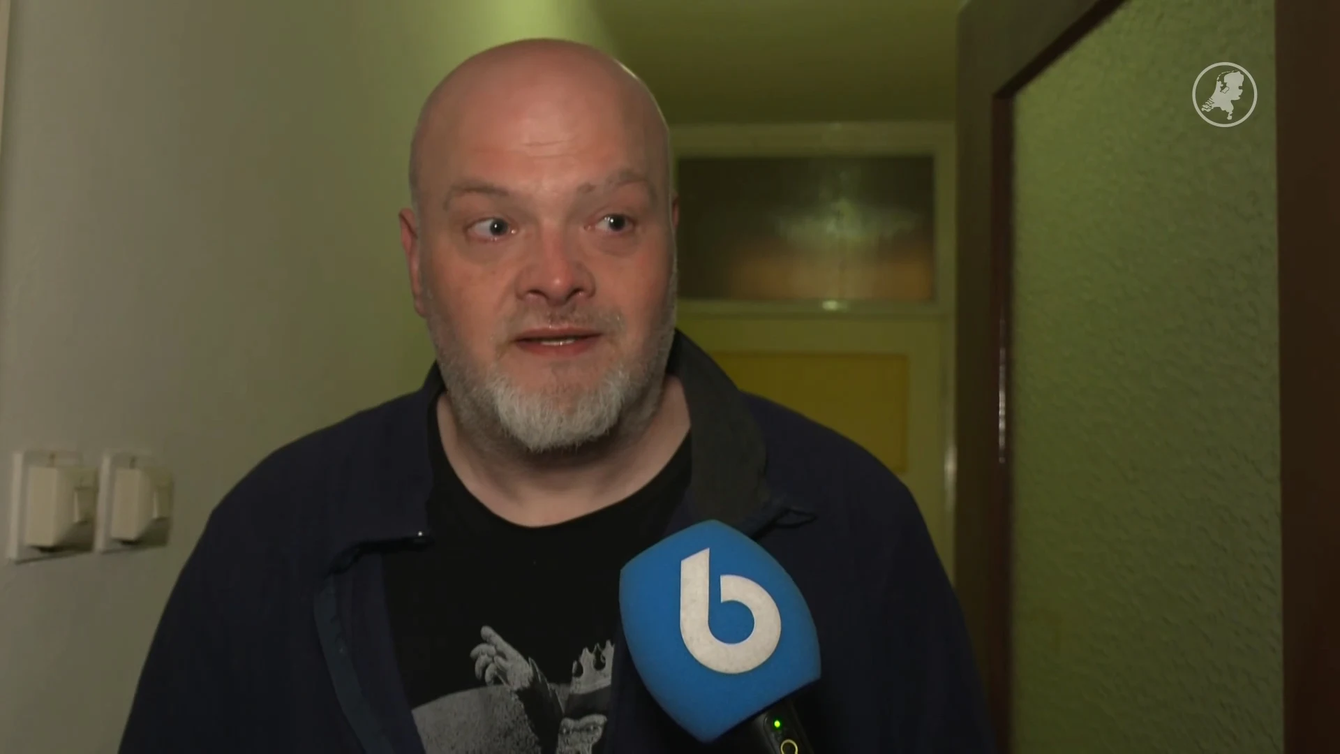 Katten met kruisboog beschoten in Eindhoven, baasje schrikt zich rot