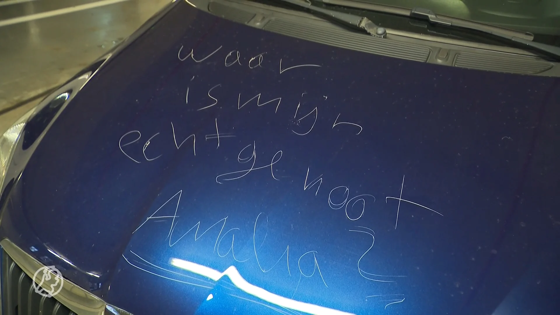 Leidse autokrasser die 'Waar is Amalia?' op tientallen auto's kraste opgepakt