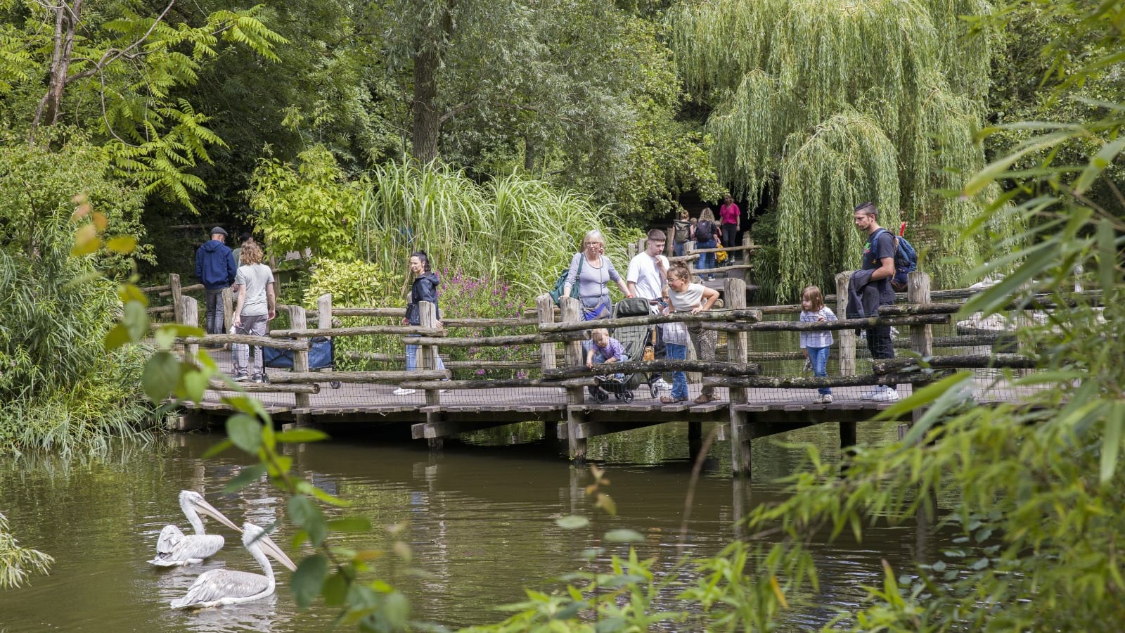 Diergaarde Blijdorp Rotterdam vanaf donderdag rookvrij: 'Past niet op plek waar veel kinderen komen'