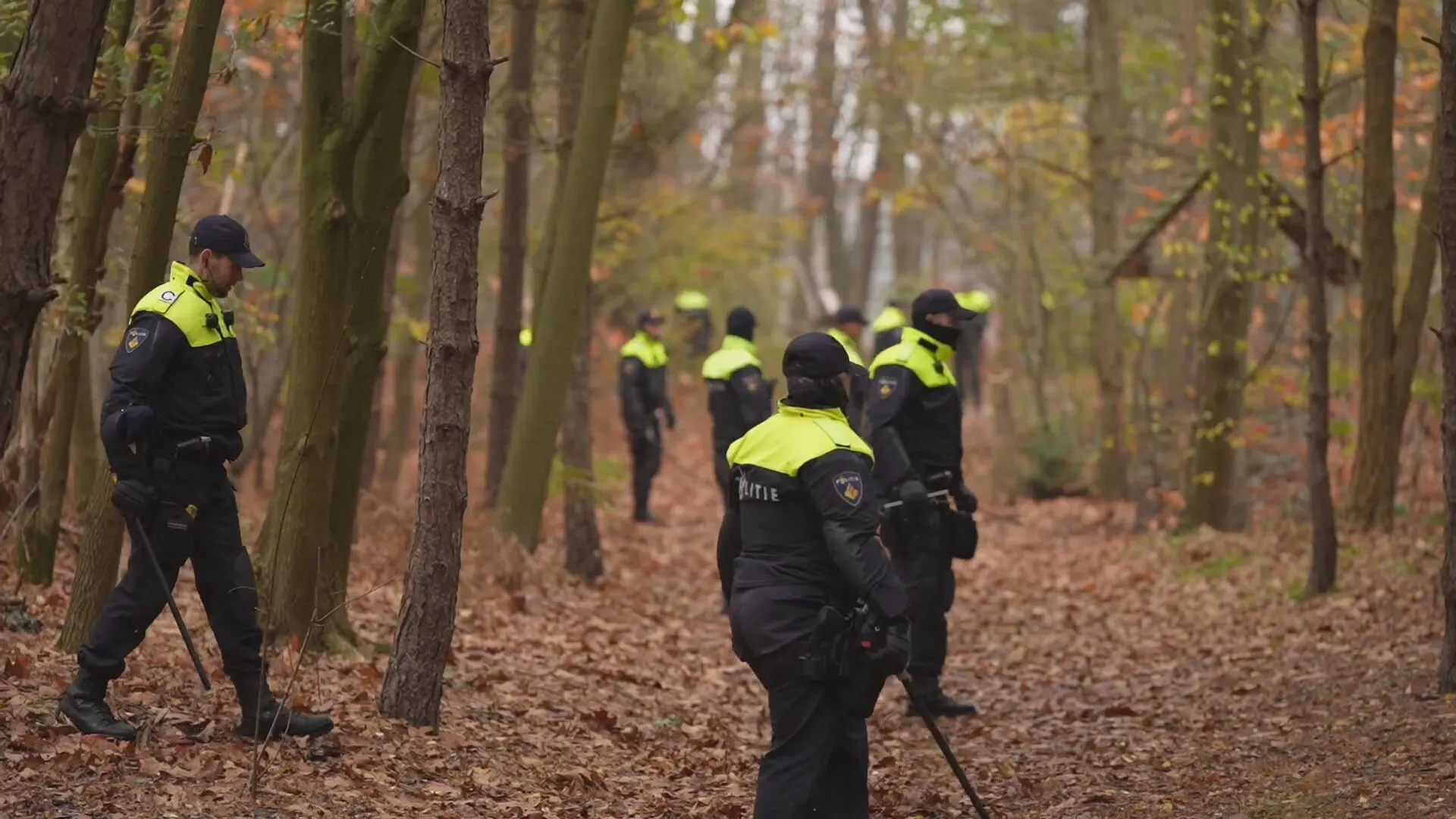 Politie kamt bos bij Hoogeloon uit op zoek naar vermiste vrouw (36)