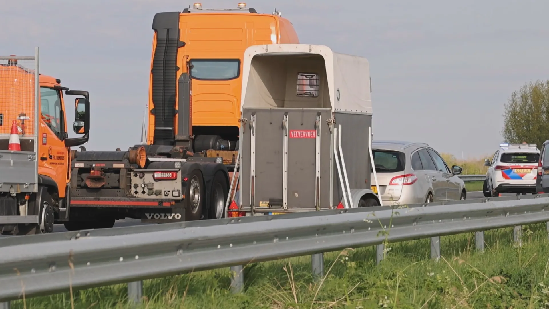 Drama op snelweg: paard overleden na ongeluk op A7