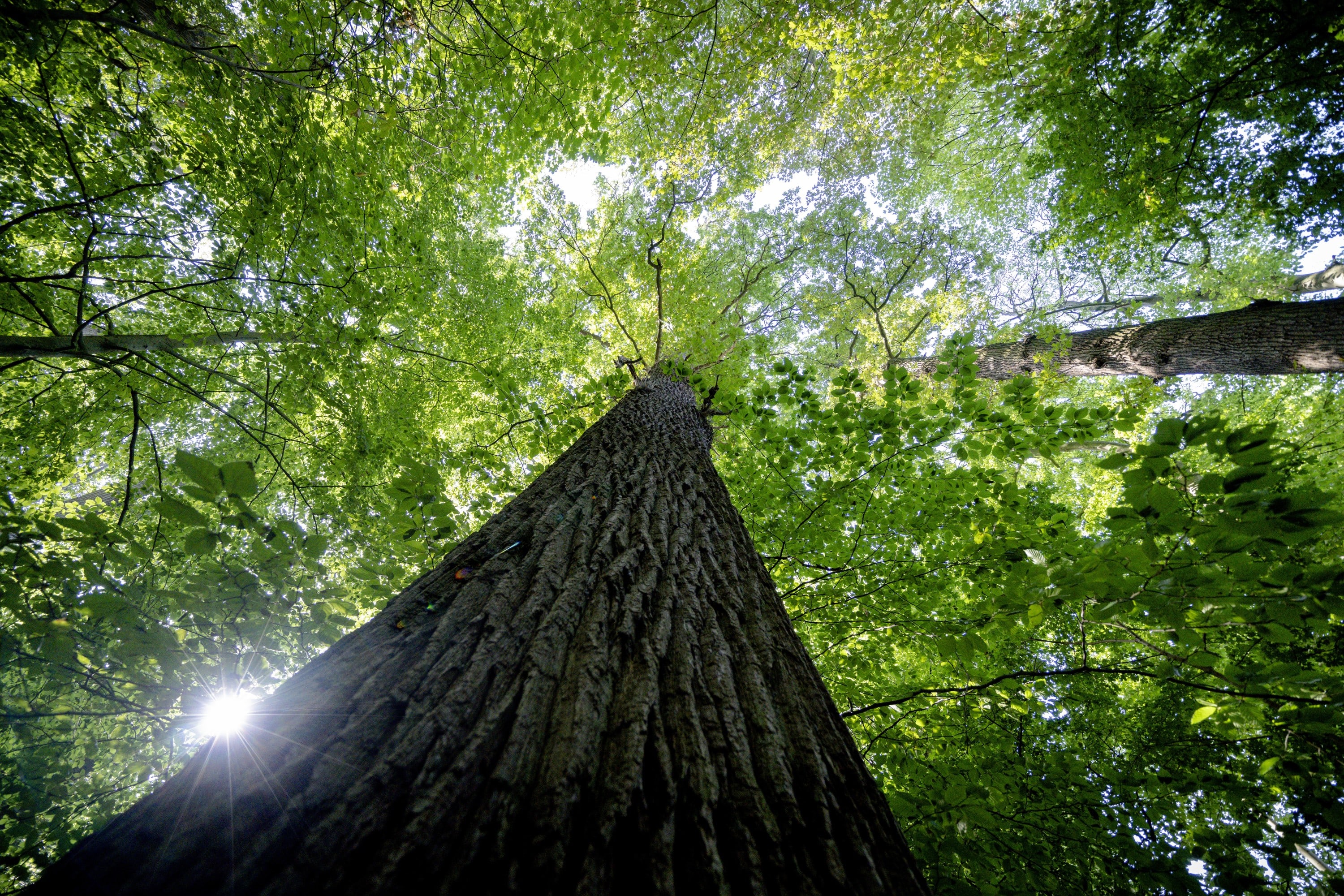 Kabinet steekt 550 miljoen euro meer in klimaatontwikkelingshulp