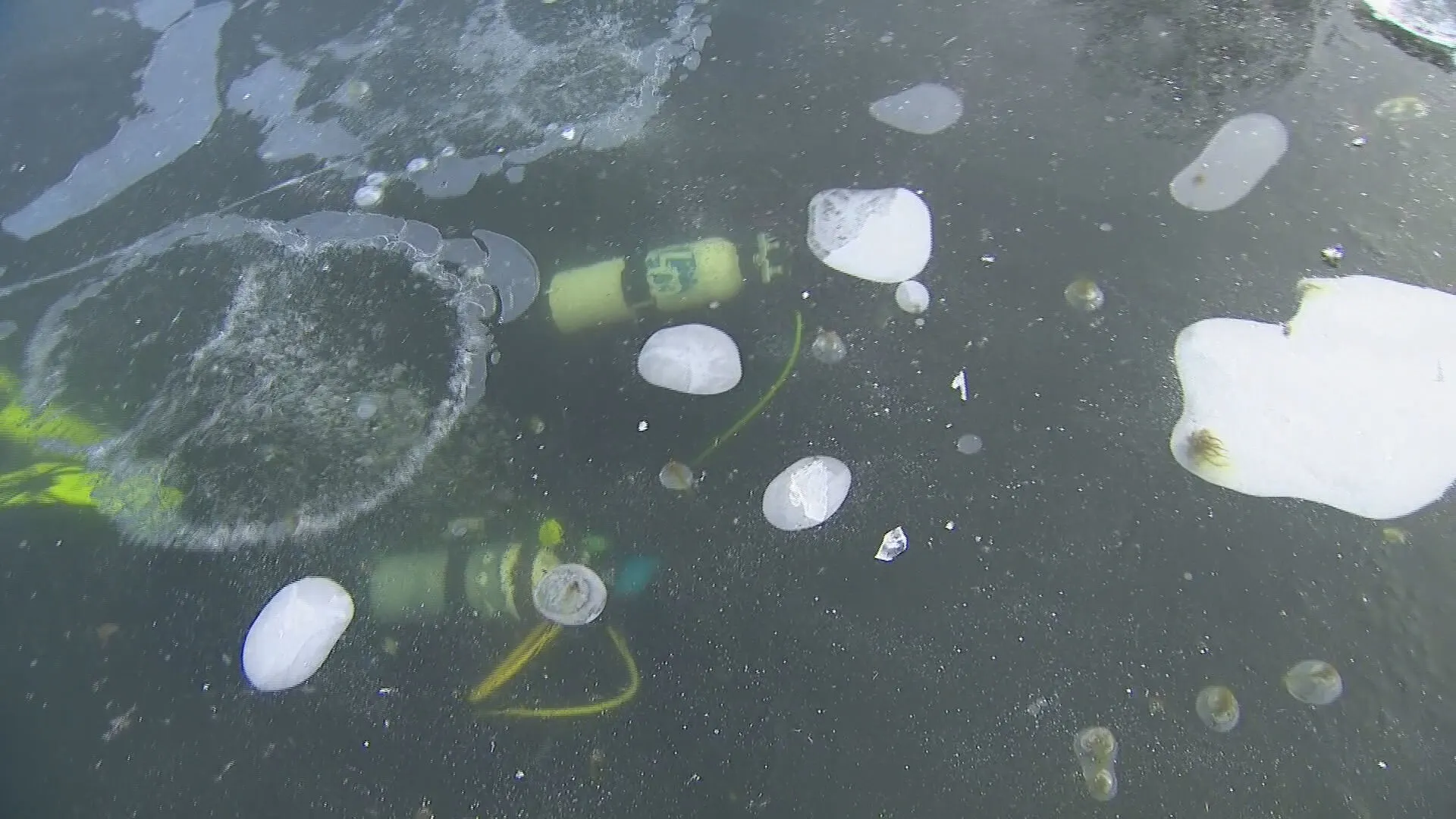 Na meer dan tien jaar kan Henk eindelijk weer ijsduiken in Nederland: 'Het is retekoud'