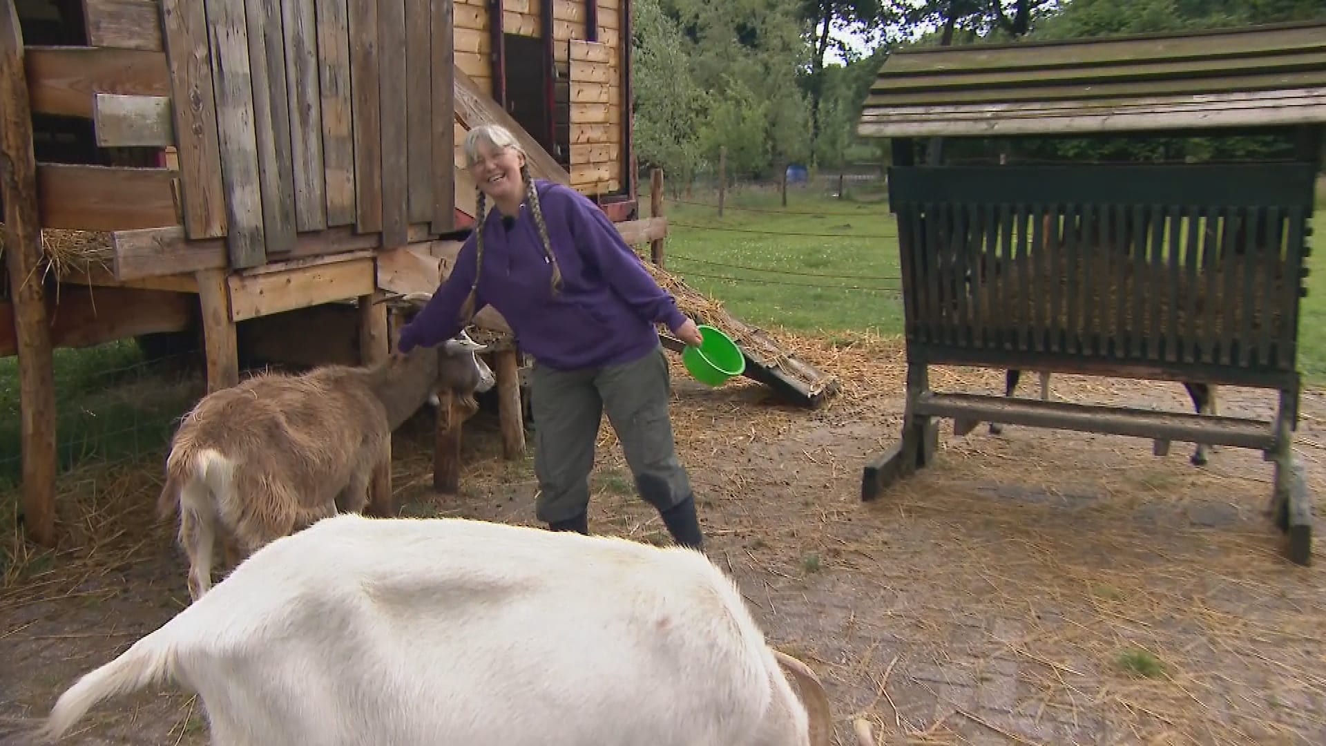 Dierenstichtingen hebben dringend geld nodig: veilig werken steeds lastiger