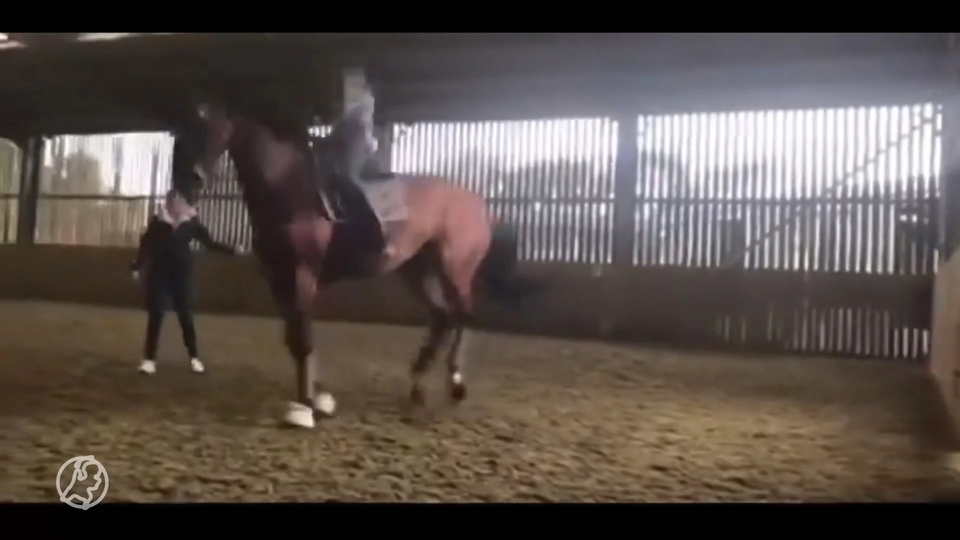 Klacht tegen amazone Dujardin liep via Nederlandse advocaat