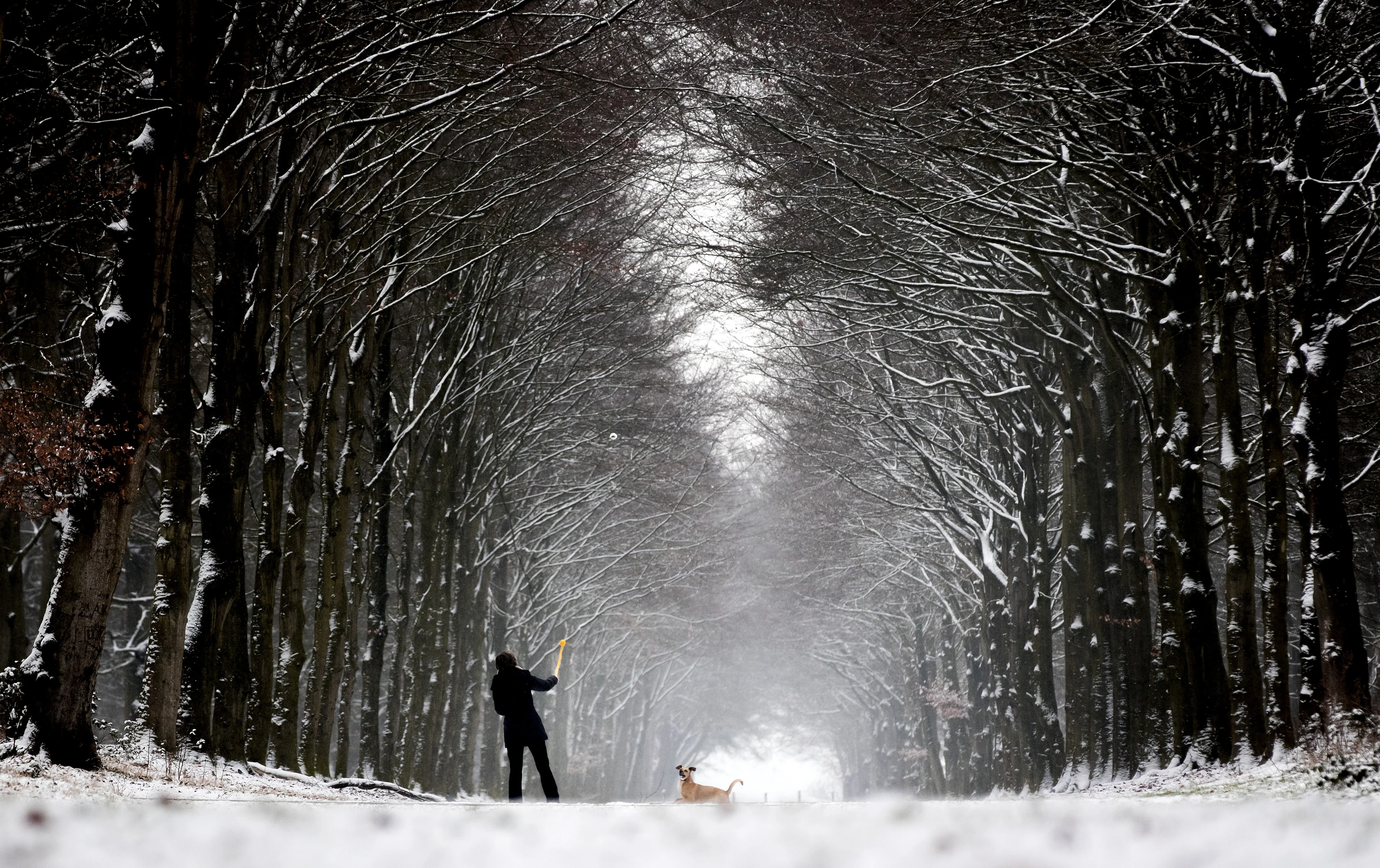 Winter houdt nog even stand, zachtere periode op komst