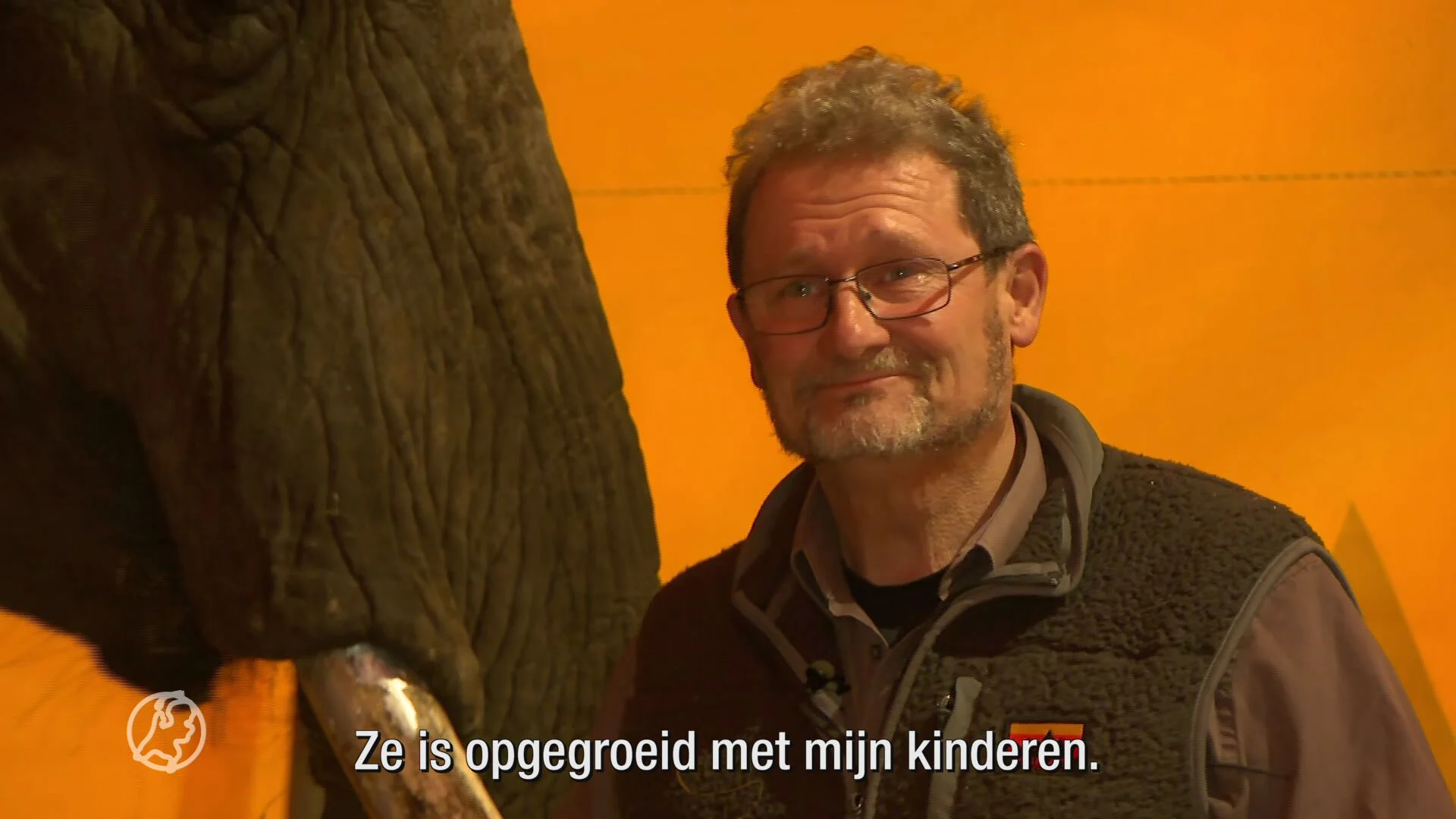 Circusfamilie dolblij dat olifant Buba in Nederland mag blijven: 'Ze is als een kind voor me'