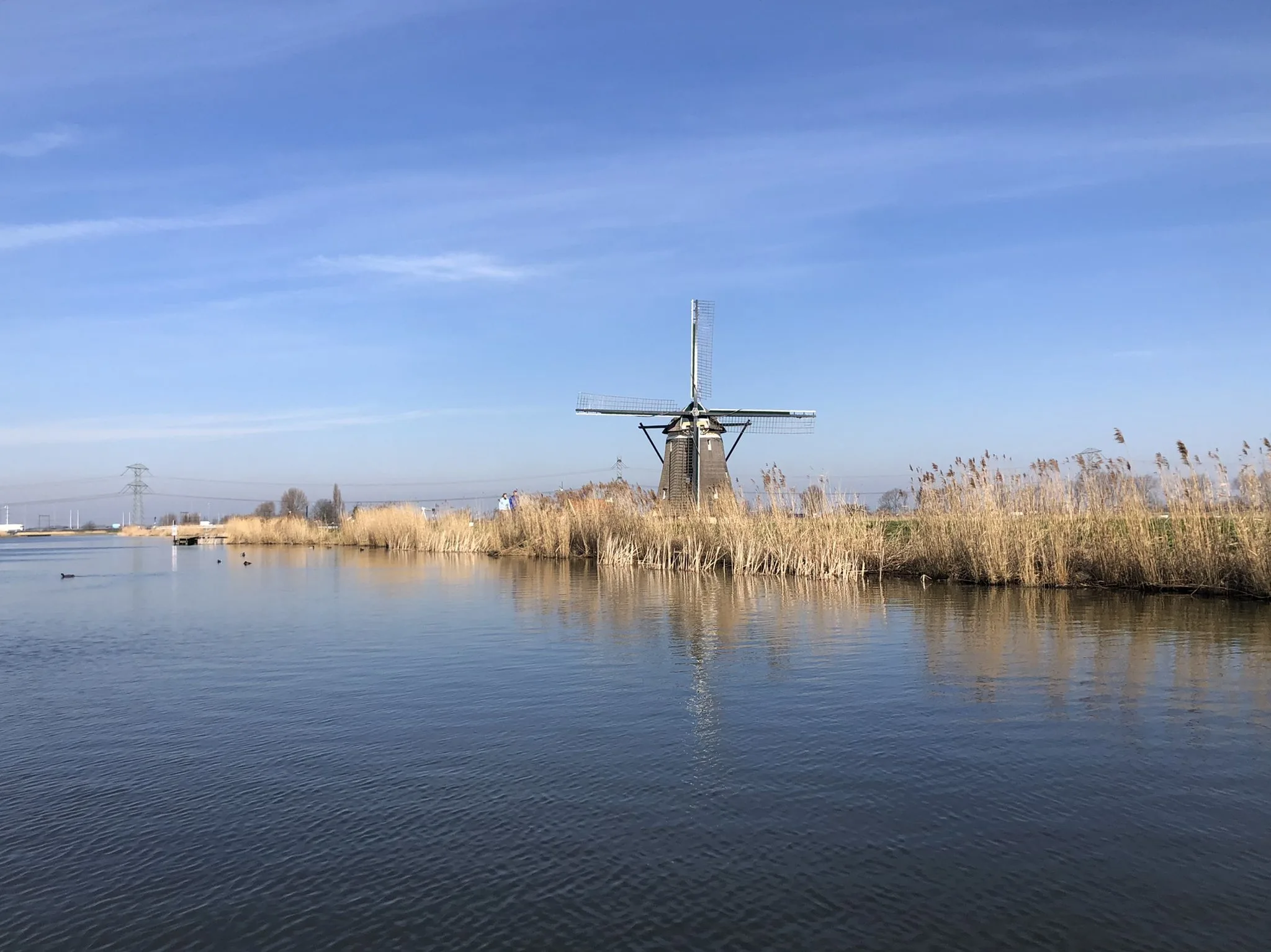 Prachtig lenteweer de komende dagen, maar ook koude nachten