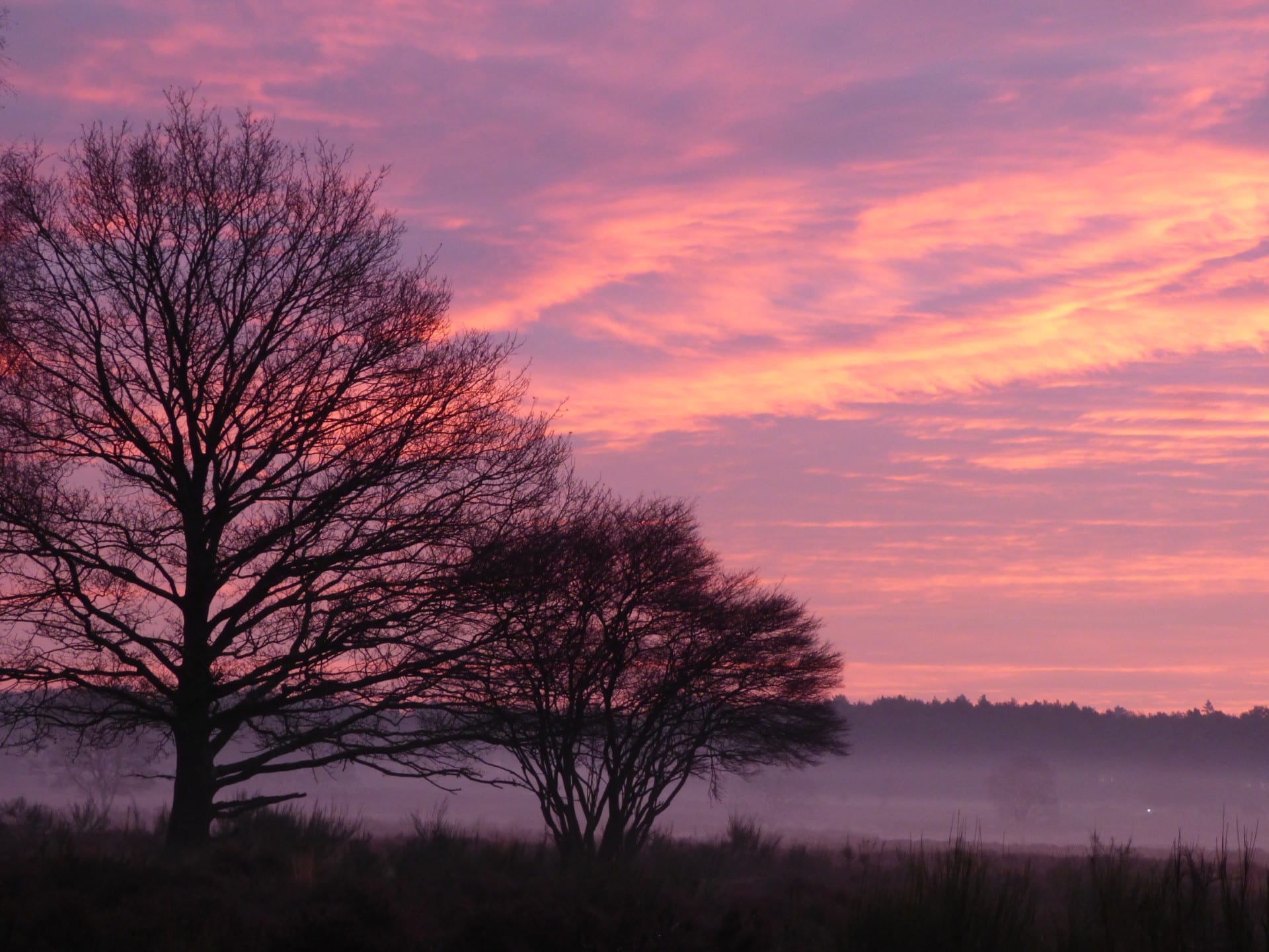 Donderdag nog grijs en soms nat, maar lente is onderweg