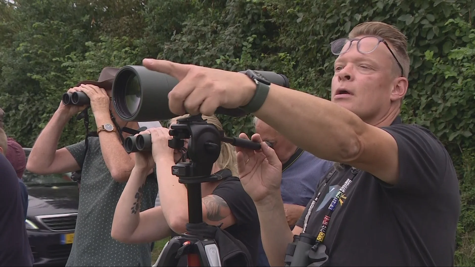 Vogelaars kunnen geluk niet op: zeldzame Indische kievit in Nederland te zien