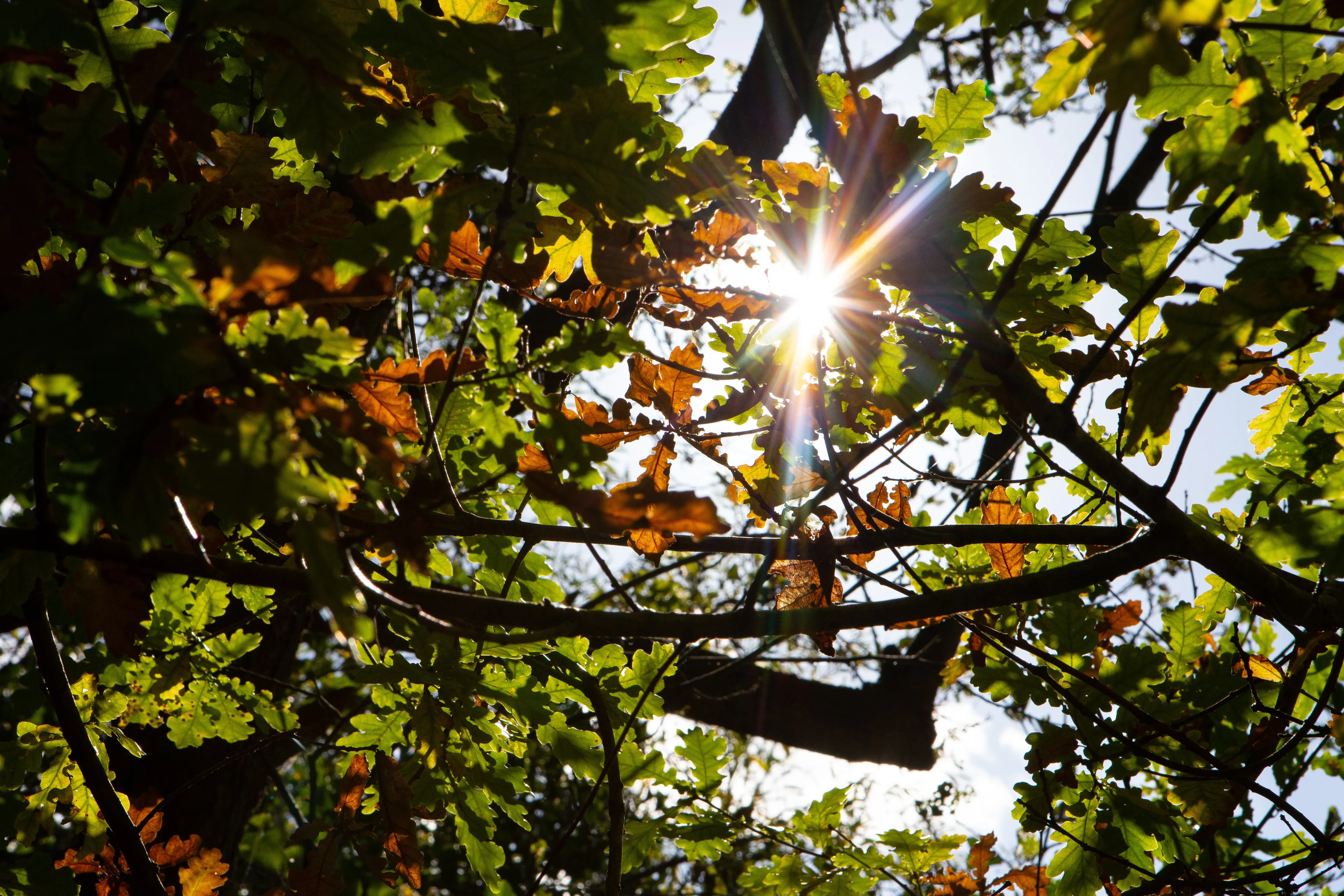 Heerlijke herfsttemperaturen in aantocht, maar buien en onweer volgen snel