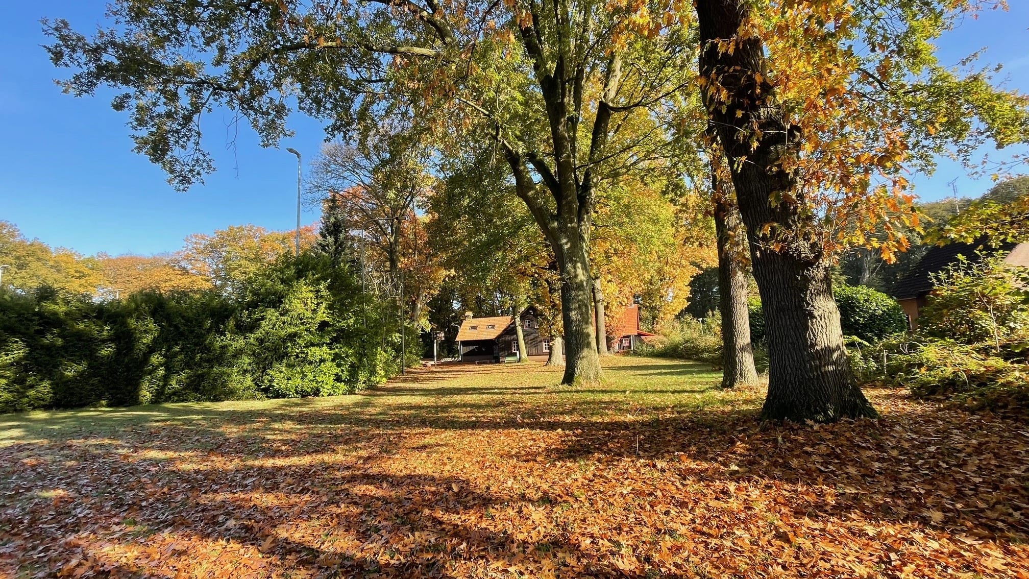 Zacht novemberweer houdt aan met lokaal 18 graden