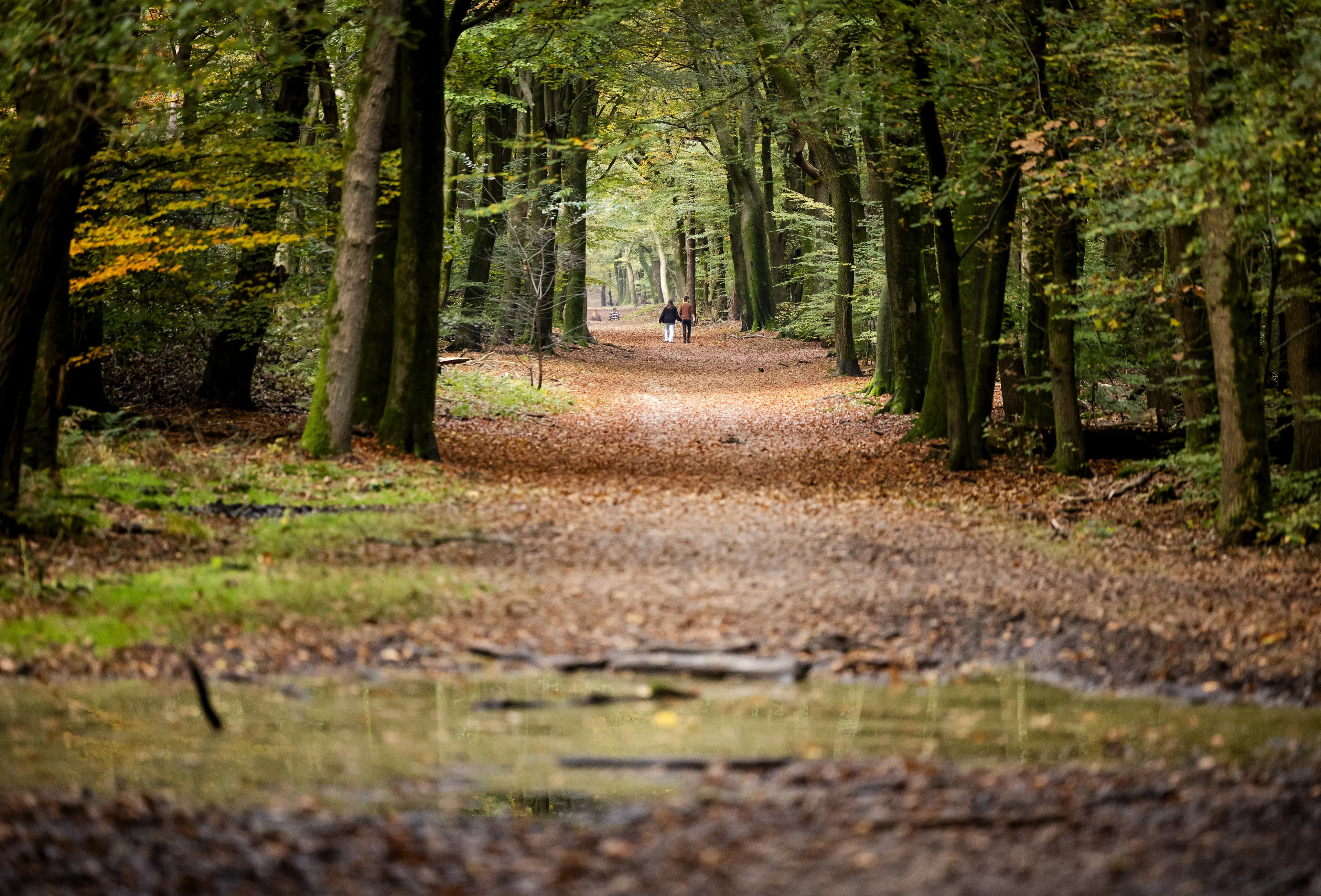 Weerbeeld knapt op: meer zon en drogere dagen in aantocht