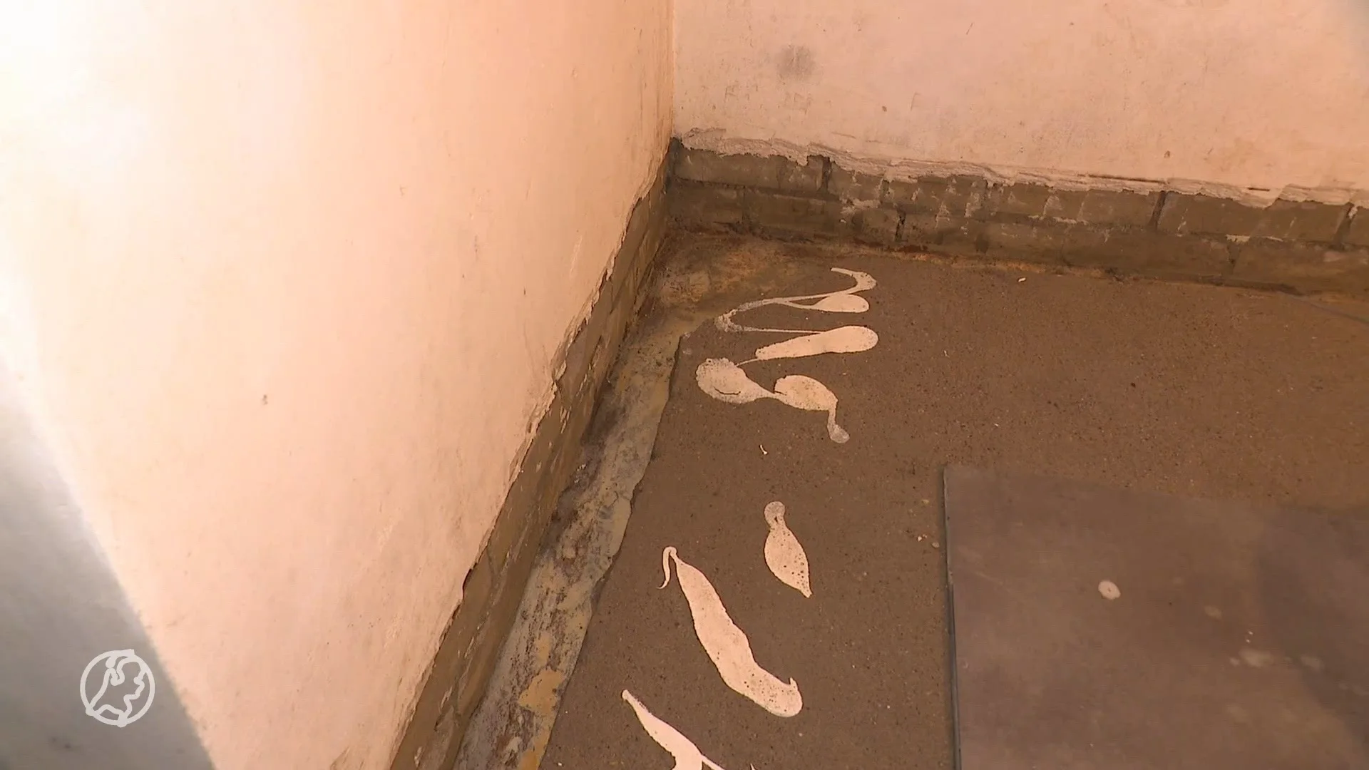 Bewoners duinstreek kampen met wateroverlast door 'vernattingsbeleid'