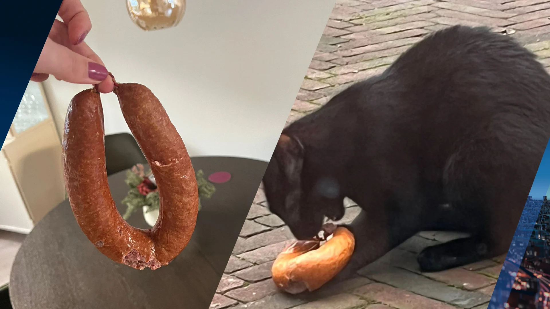 Kat Louis komt steeds met rookworsten thuis: 'Geen idee waar hij ze haalt'