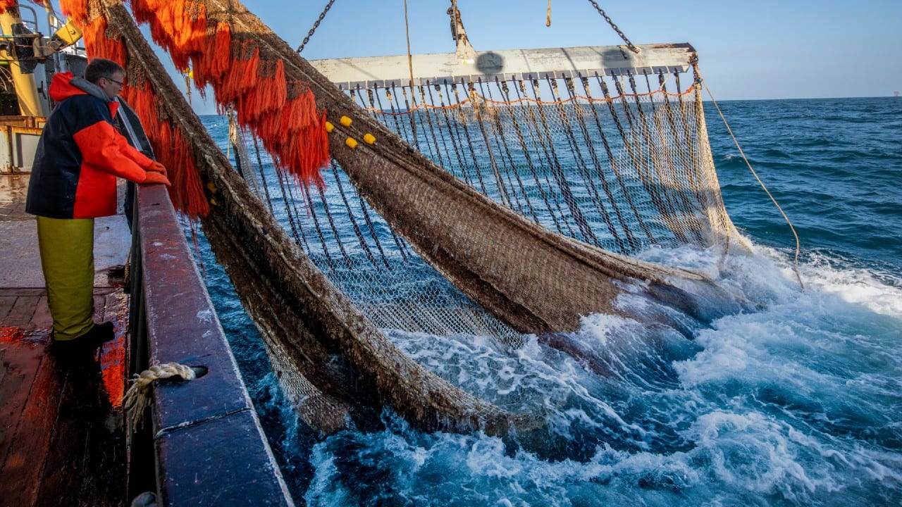 EU-hof wijst Nederlandse eis voor schrappen pulsverbod af