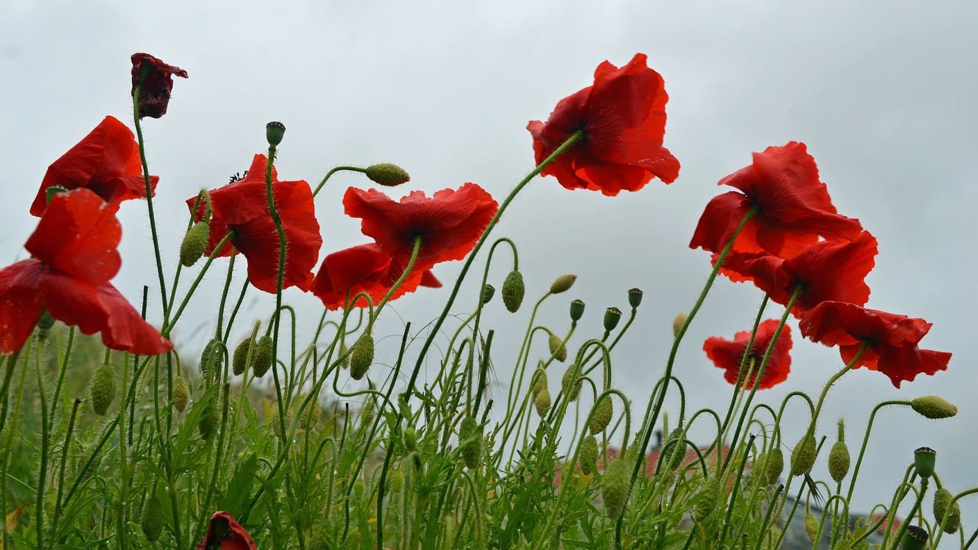 Hier en daar een bui, maar meer zonneschijn op komst
