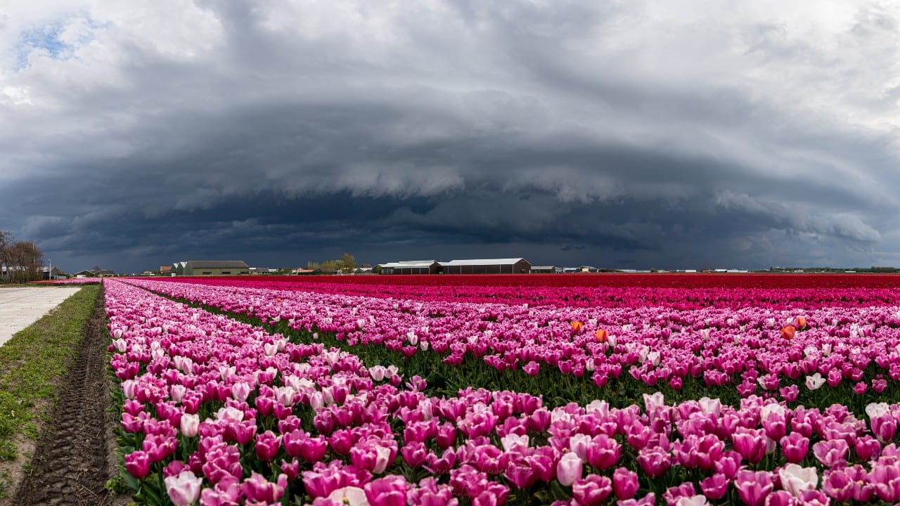 Nat en koel weekend op komst