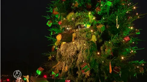 Gemeente gaat overstag: de reuzenkerstboom mag weer praten!